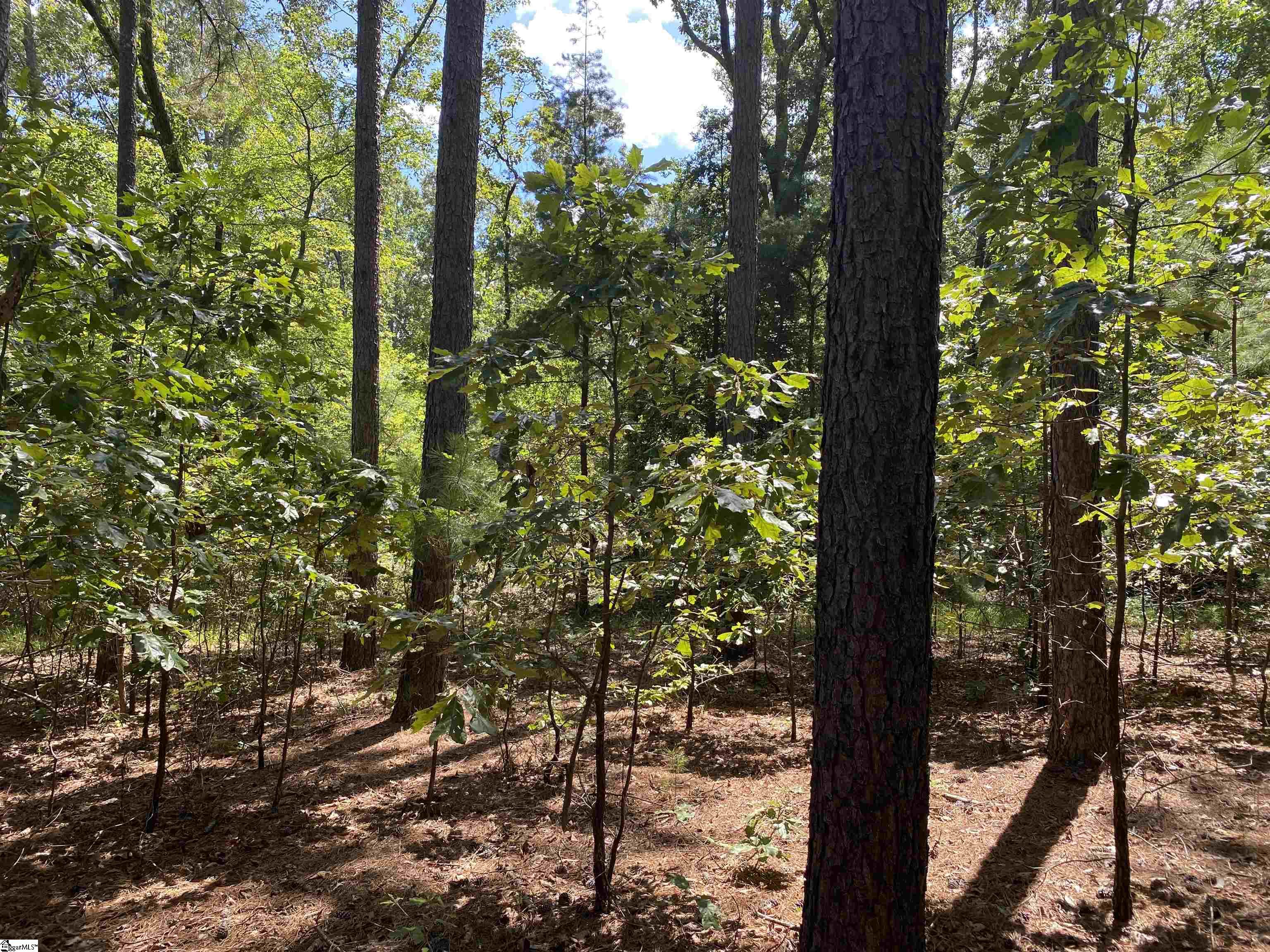 Sandy Springs Road Pelzer, SC 29669