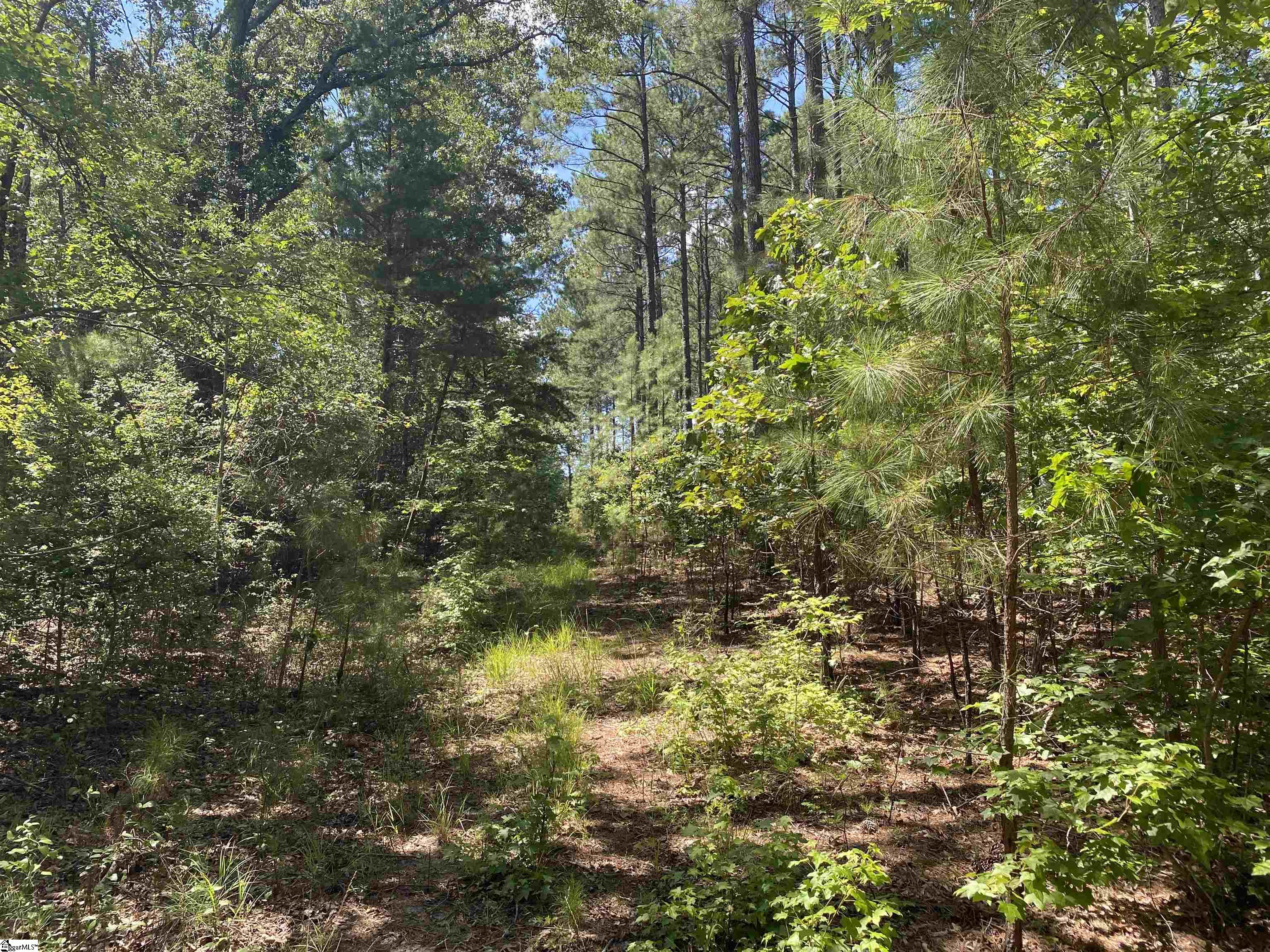 Sandy Springs Road Pelzer, SC 29669