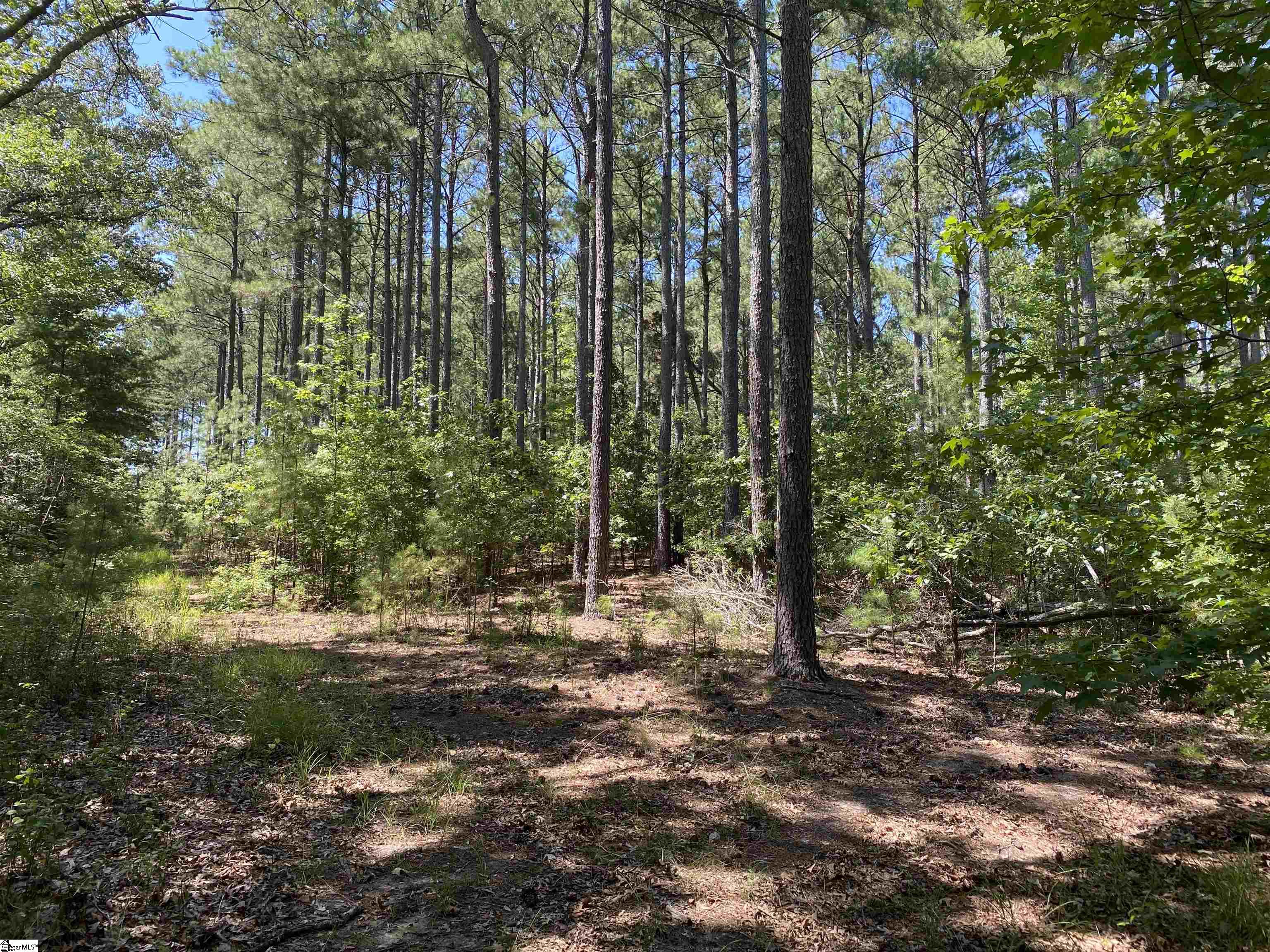 Sandy Springs Road Pelzer, SC 29669