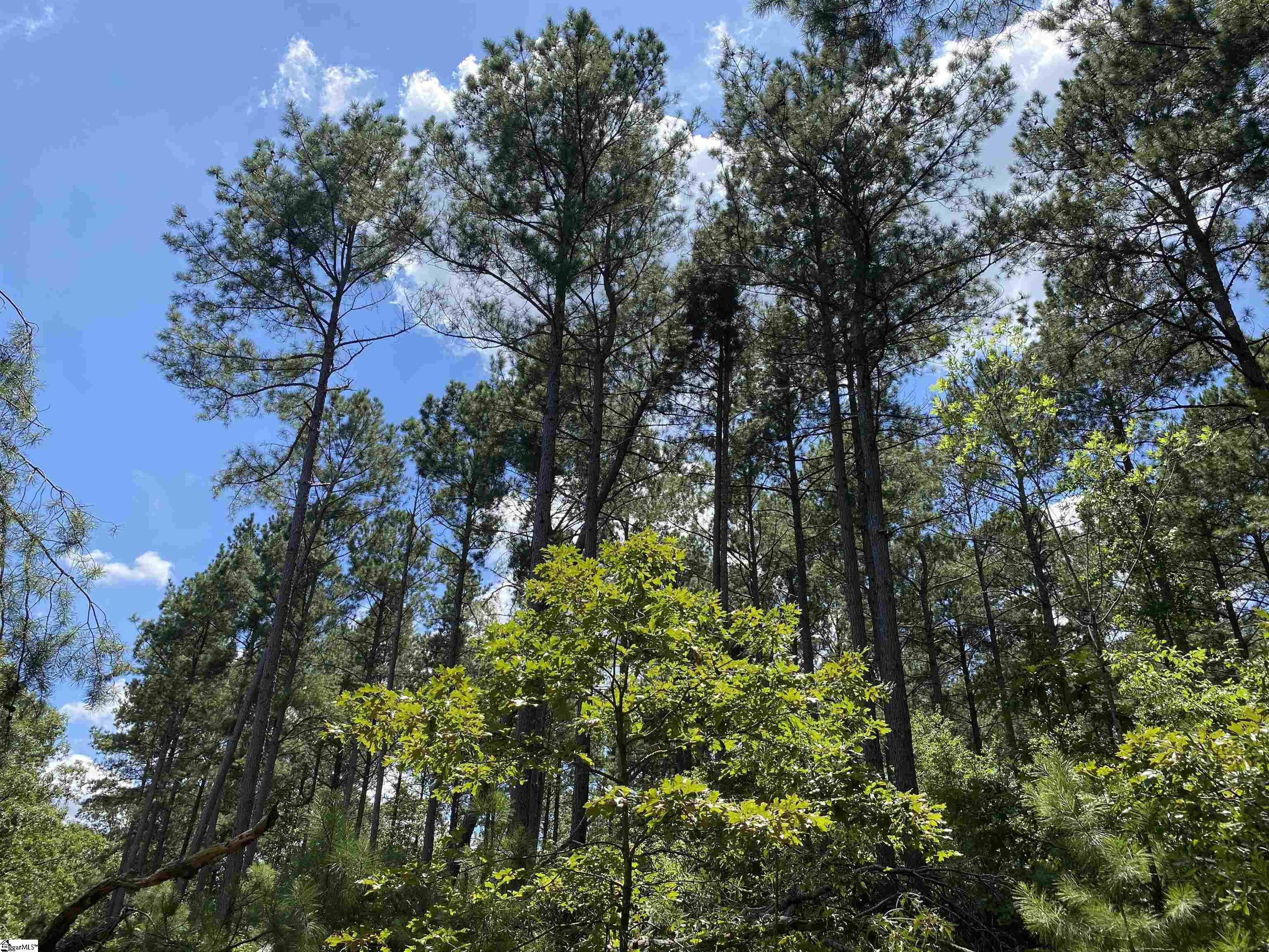 Sandy Springs Road Pelzer, SC 29669