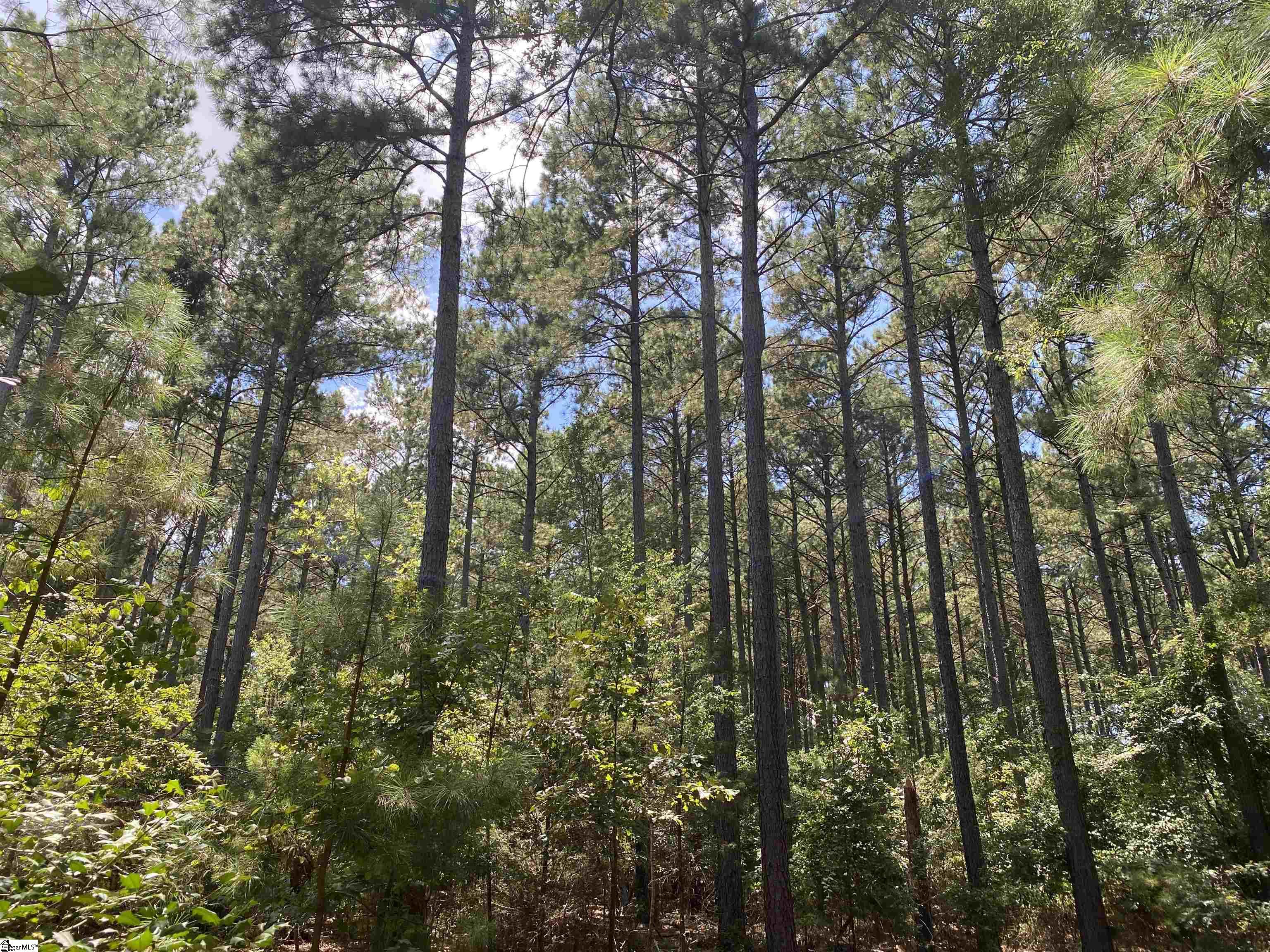 Sandy Springs Road Pelzer, SC 29669