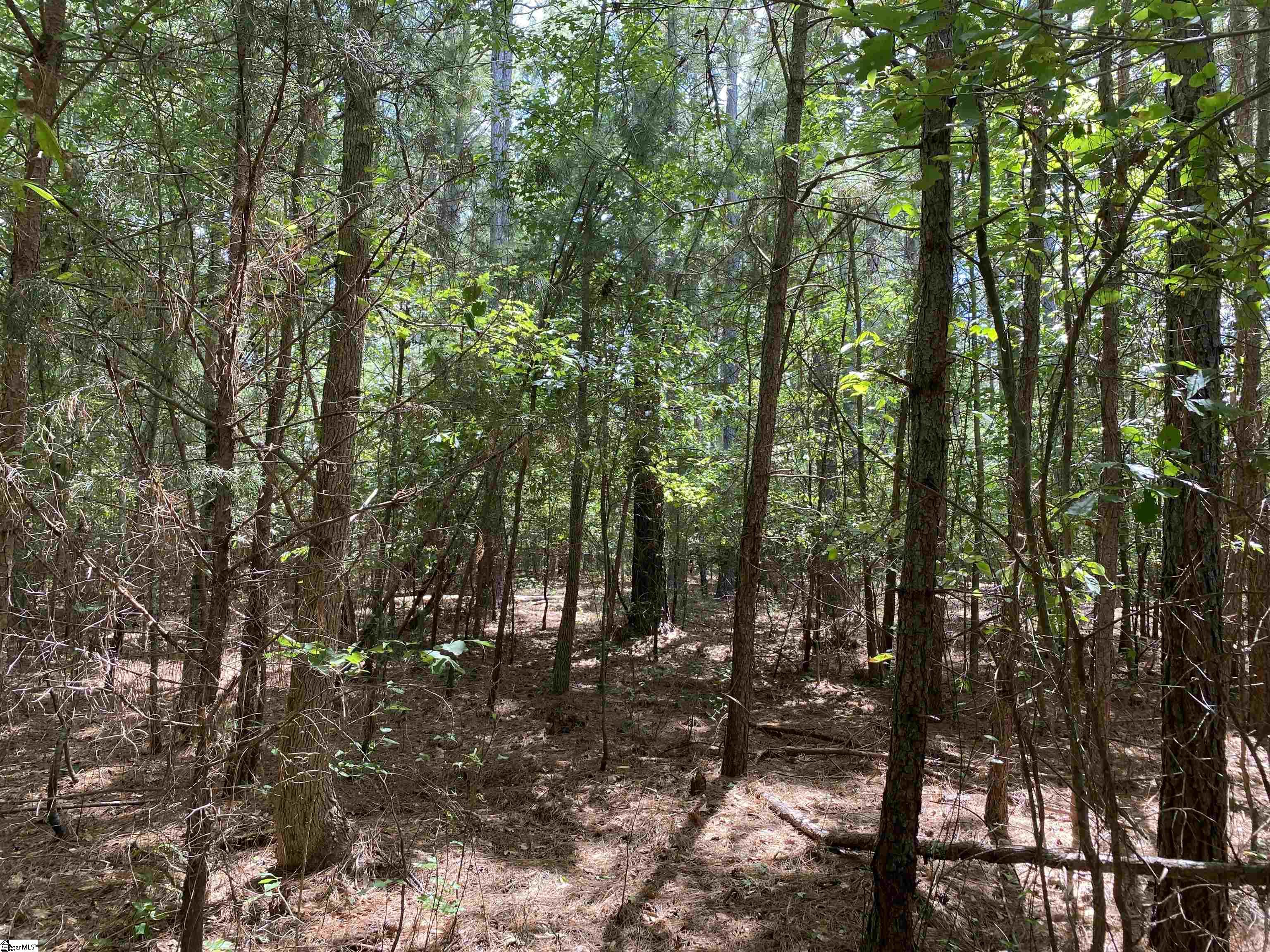 Sandy Springs Road Pelzer, SC 29669