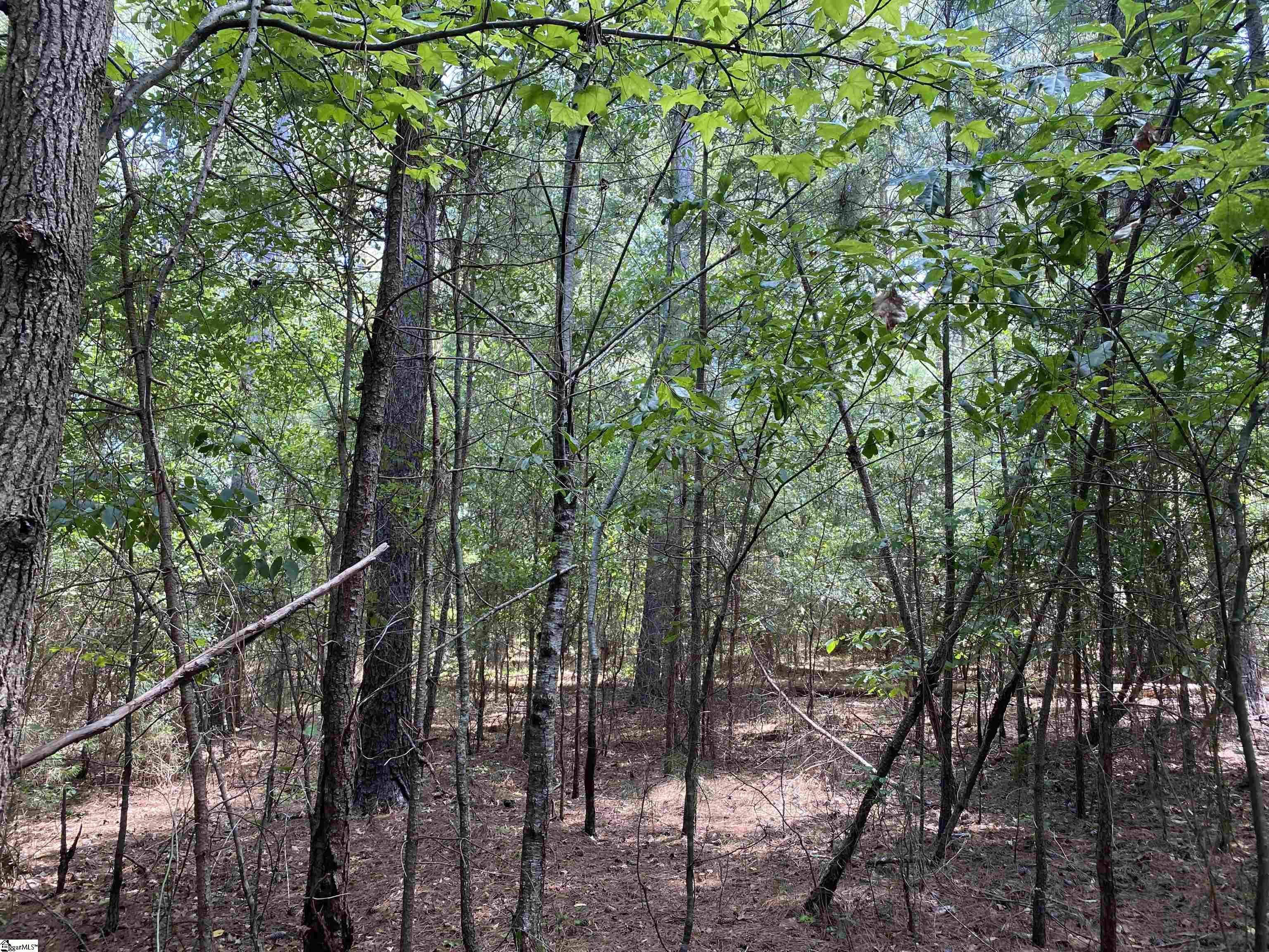 Sandy Springs Road Pelzer, SC 29669