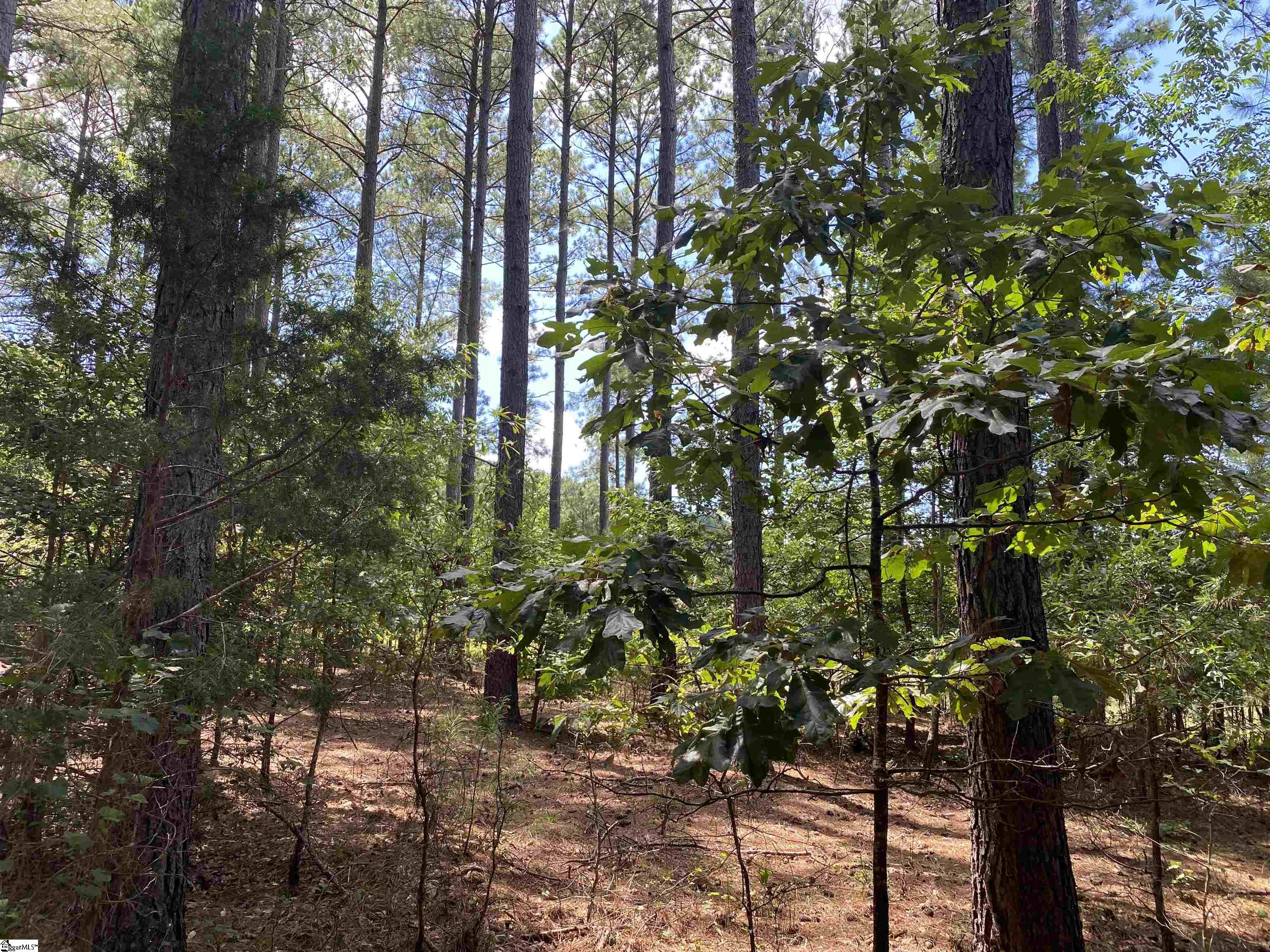 Sandy Springs Road Pelzer, SC 29669