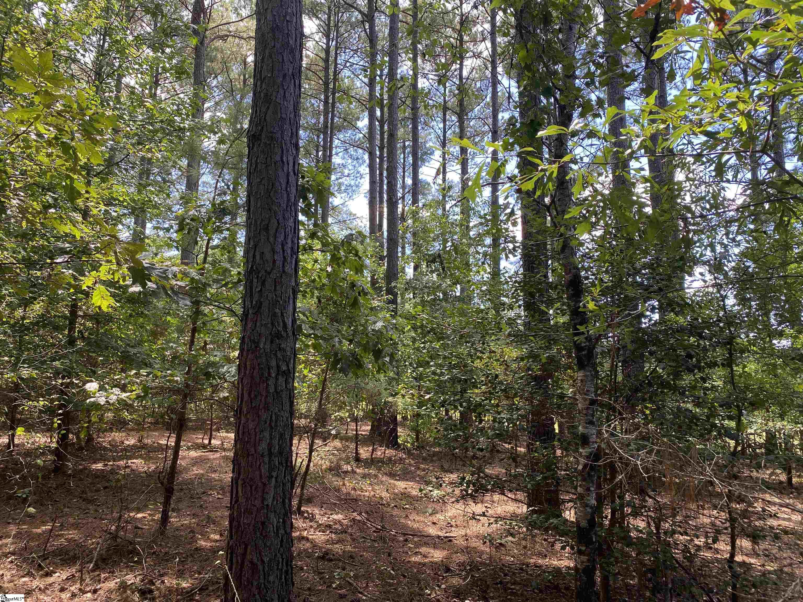Sandy Springs Road Pelzer, SC 29669