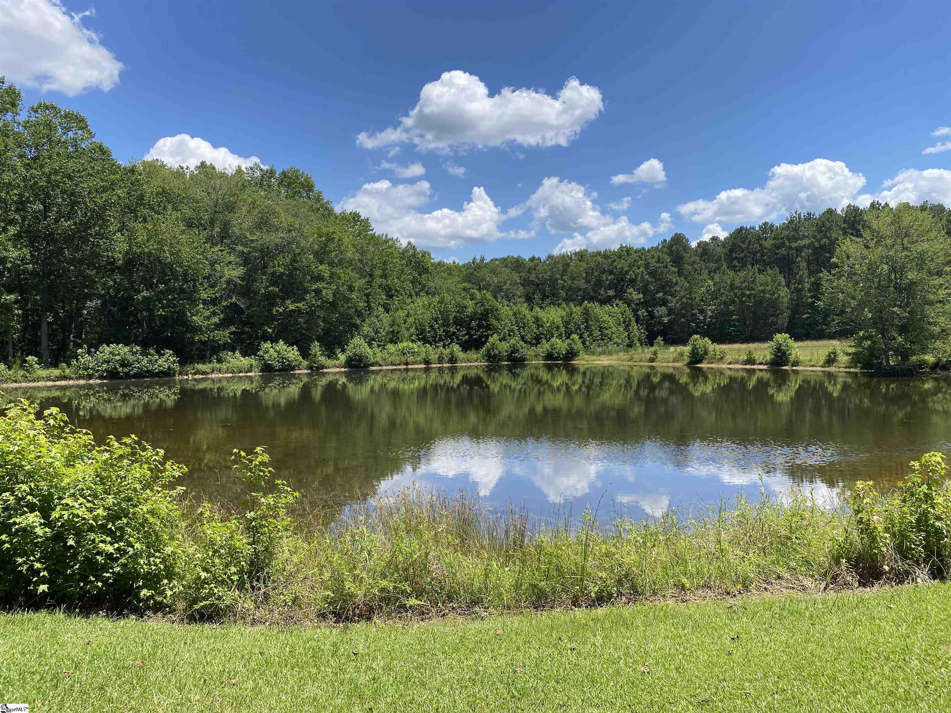 00 Snow Road Pelzer, SC 29669