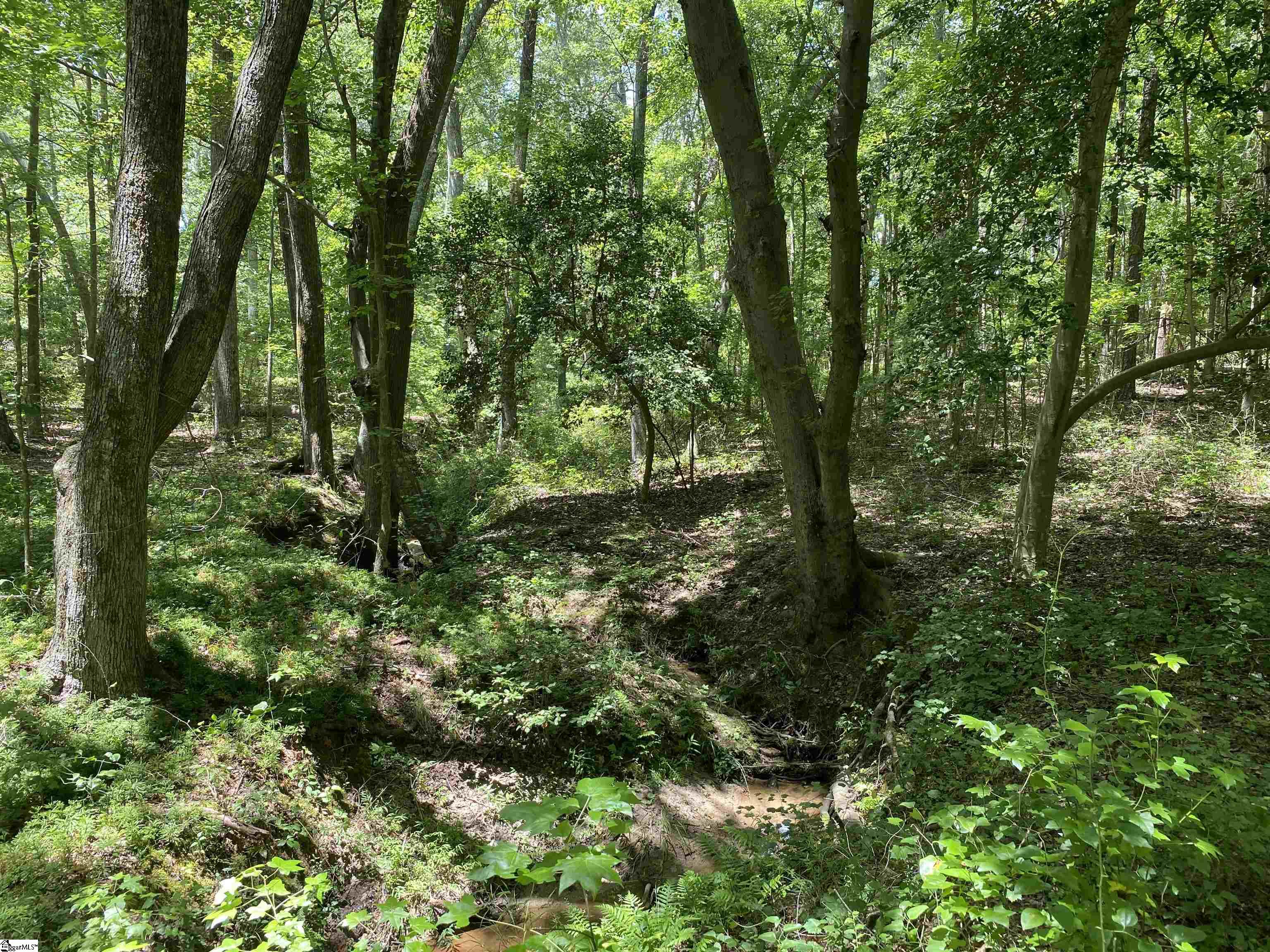 00 Snow Road Pelzer, SC 29669