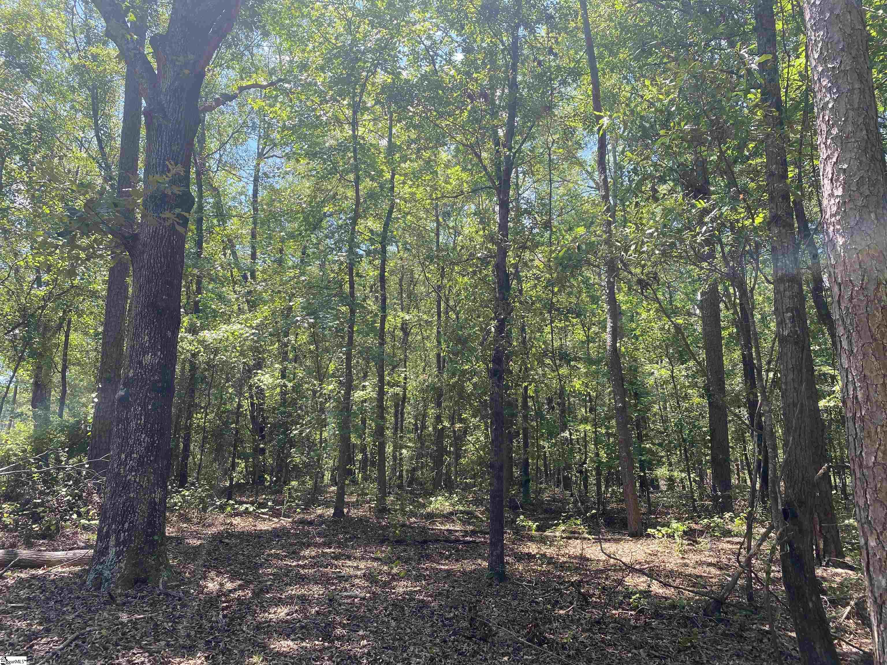00 Snow Road Pelzer, SC 29669