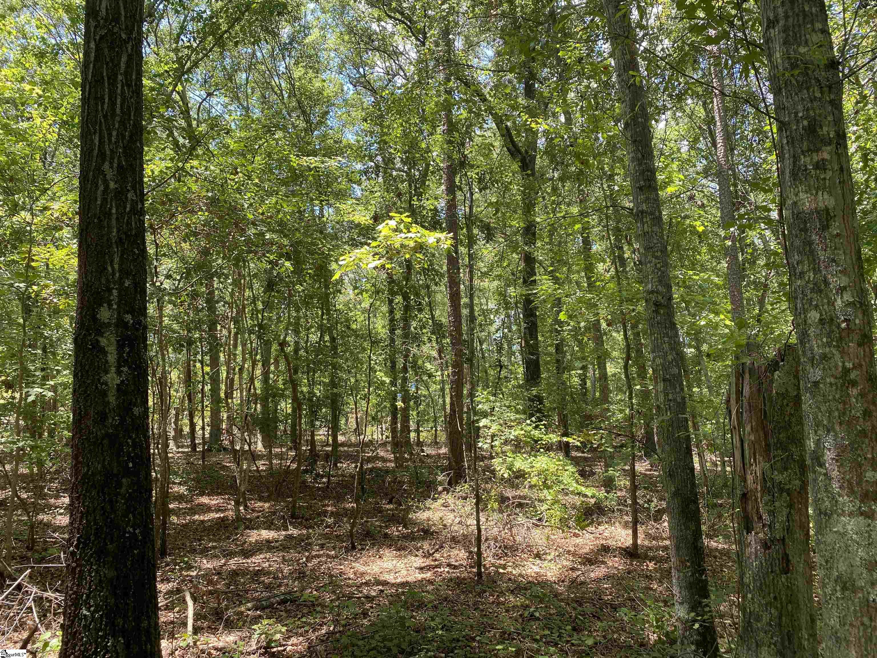 00 Snow Road Pelzer, SC 29669