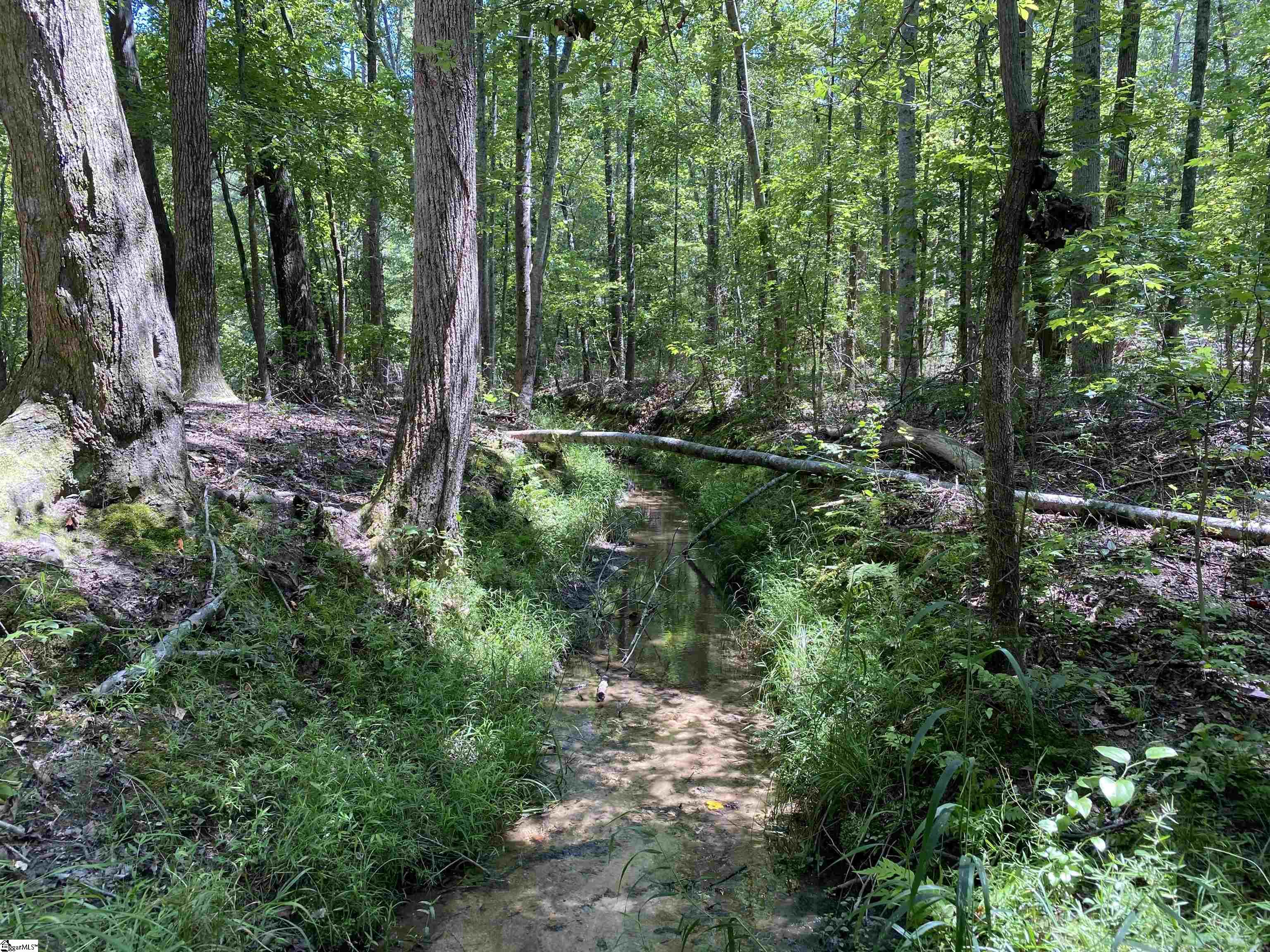 00 Snow Road Pelzer, SC 29669