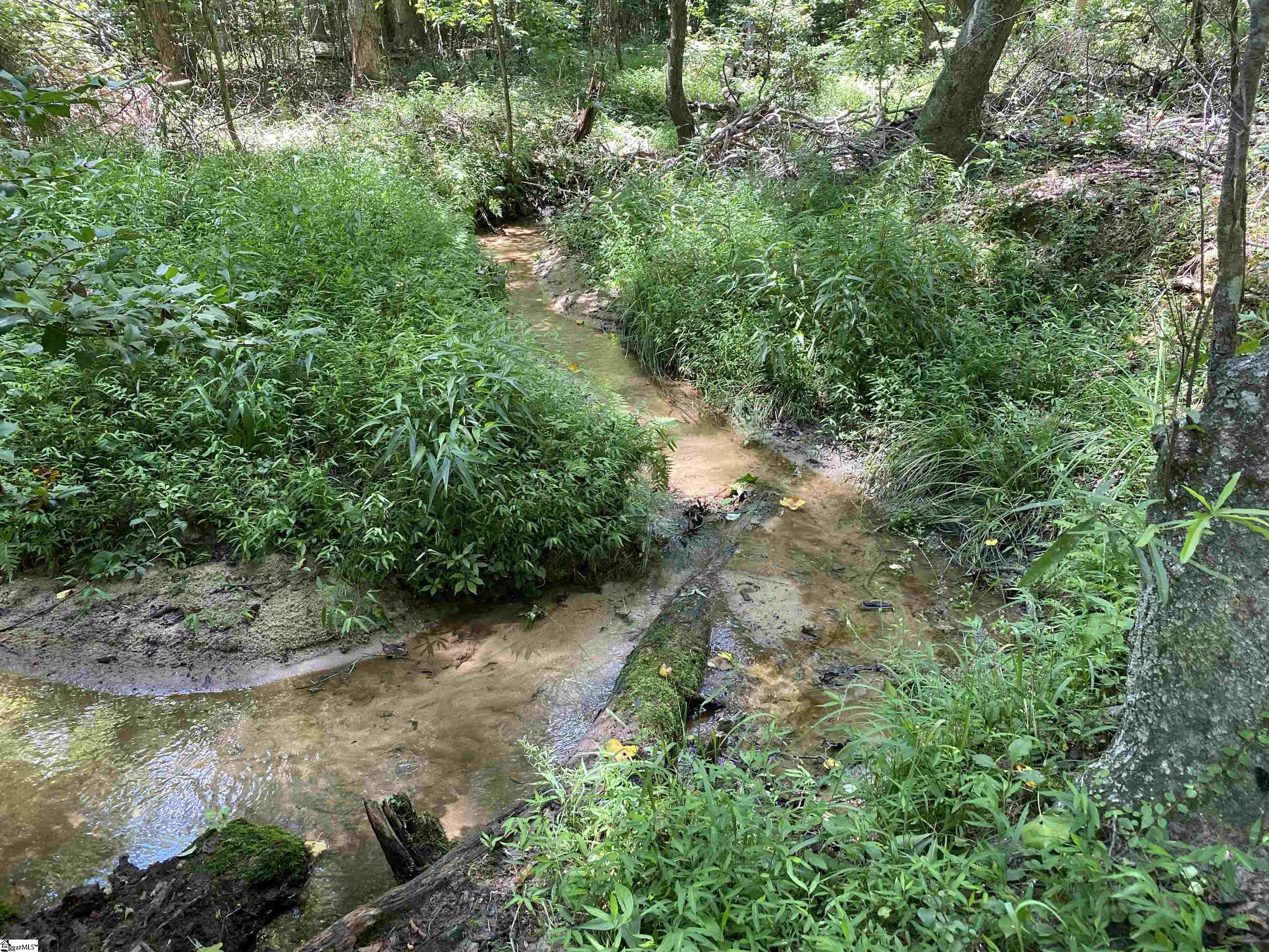 00 Snow Road Pelzer, SC 29669