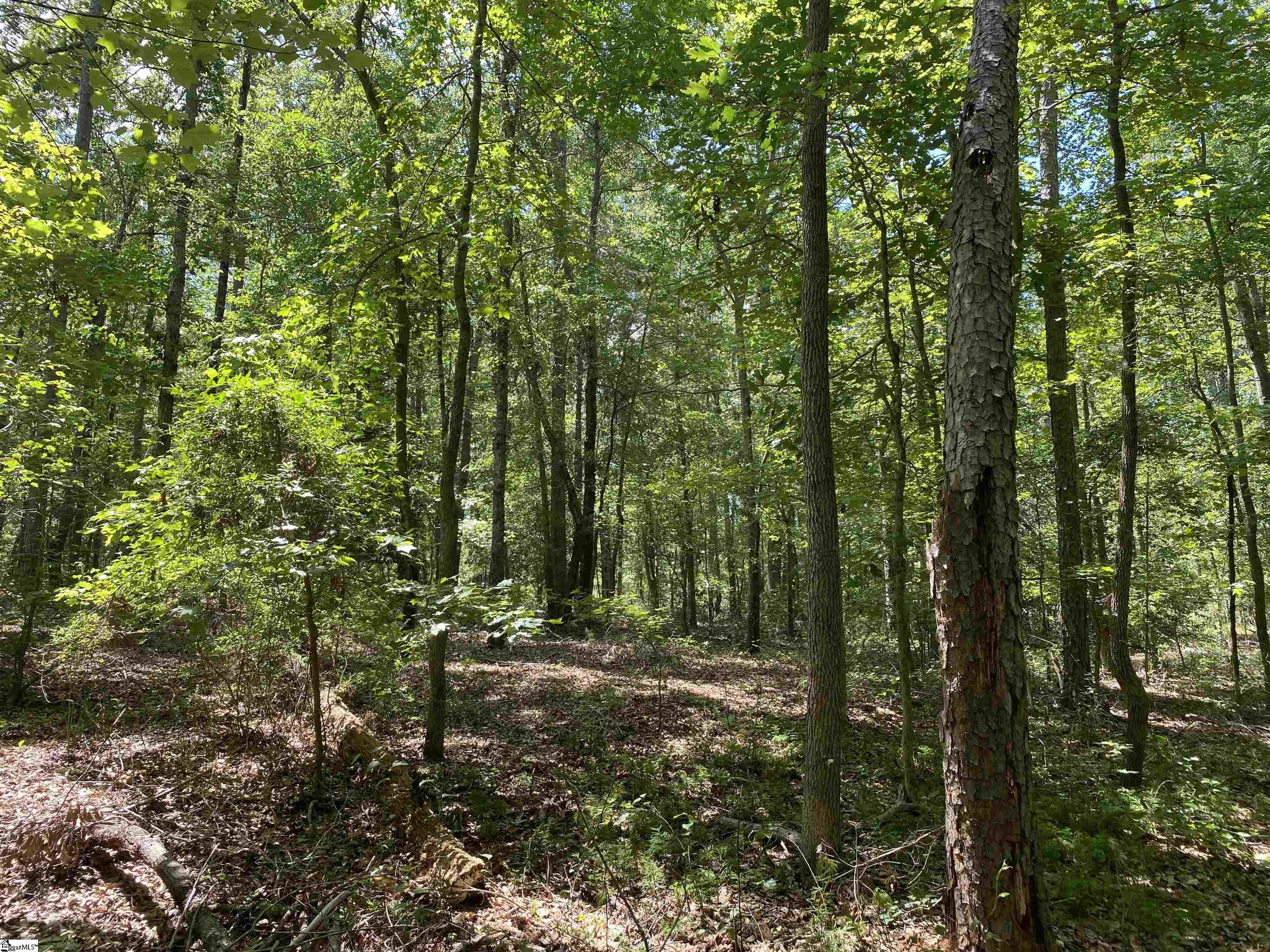 00 Snow Road Pelzer, SC 29669