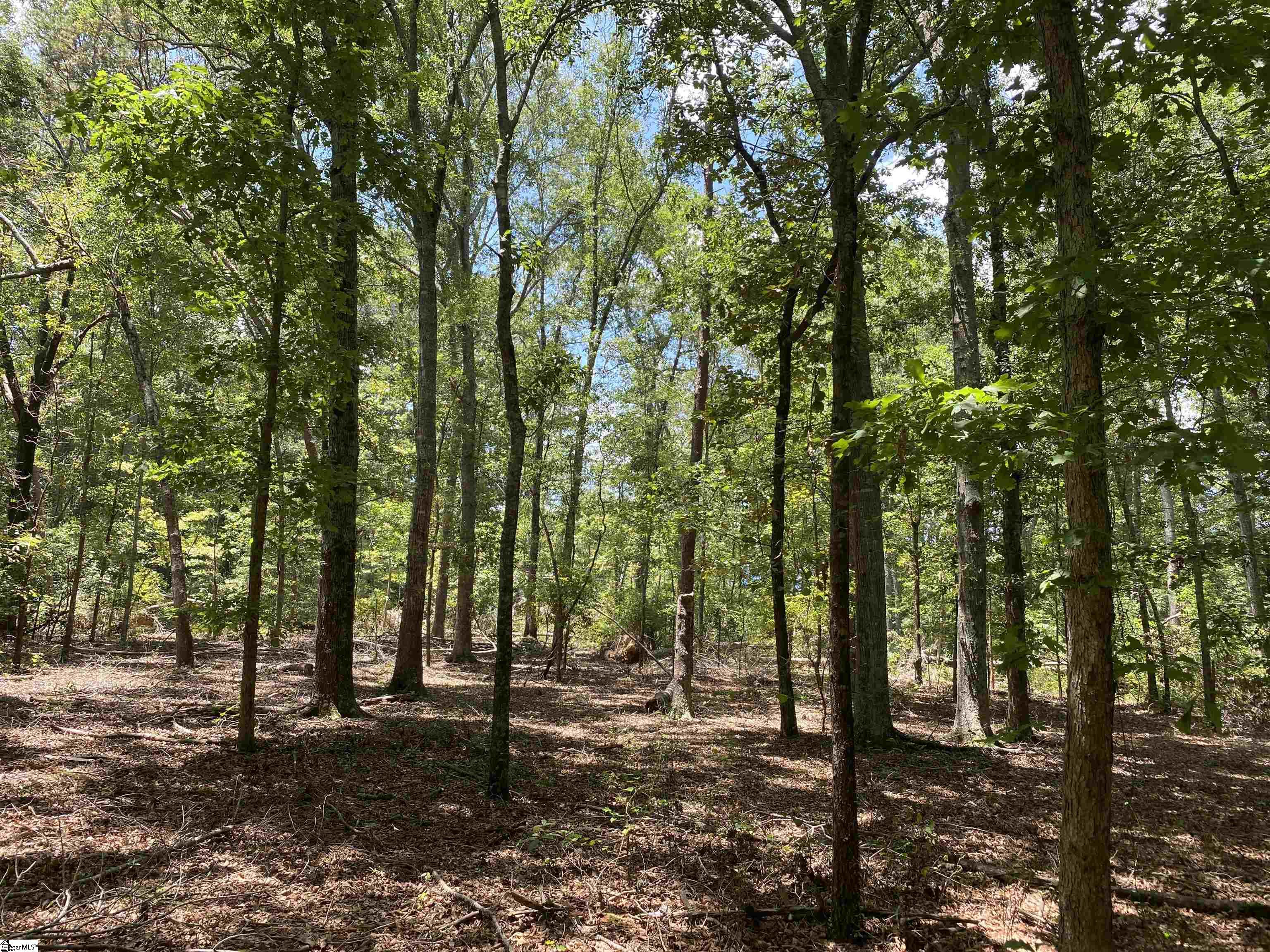 00 Snow Road Pelzer, SC 29669
