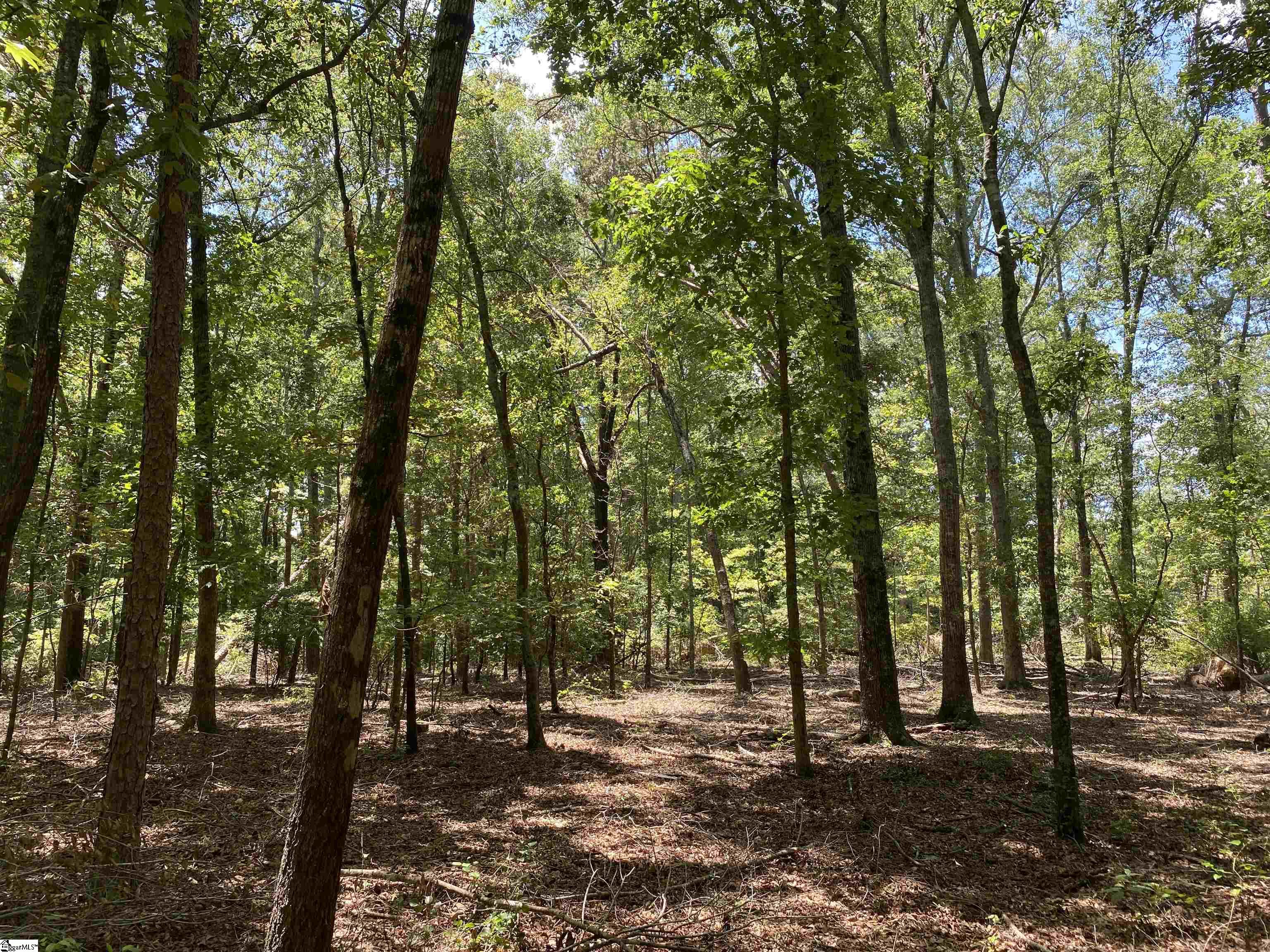 00 Snow Road Pelzer, SC 29669
