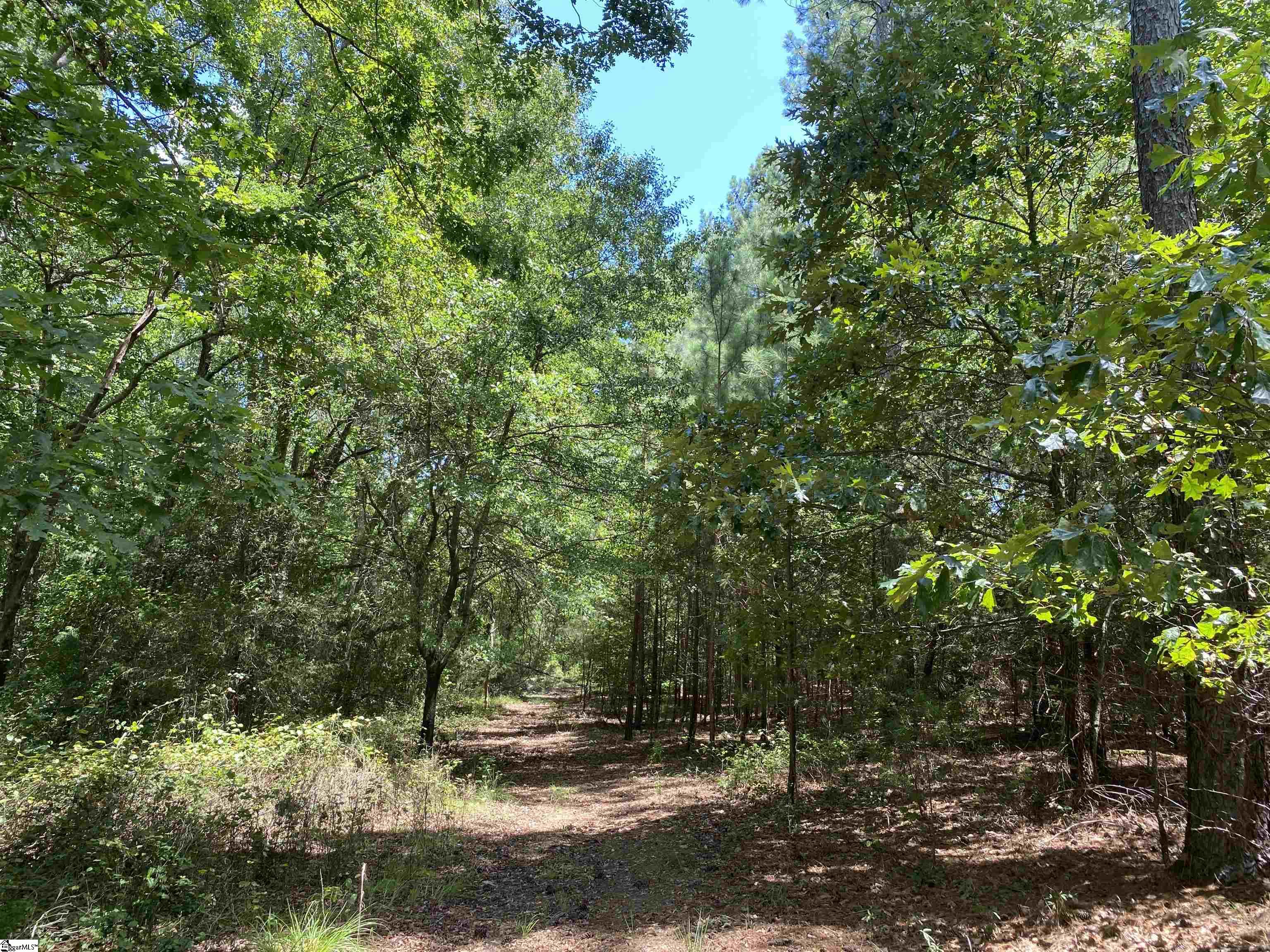 00 Snow Road Pelzer, SC 29669