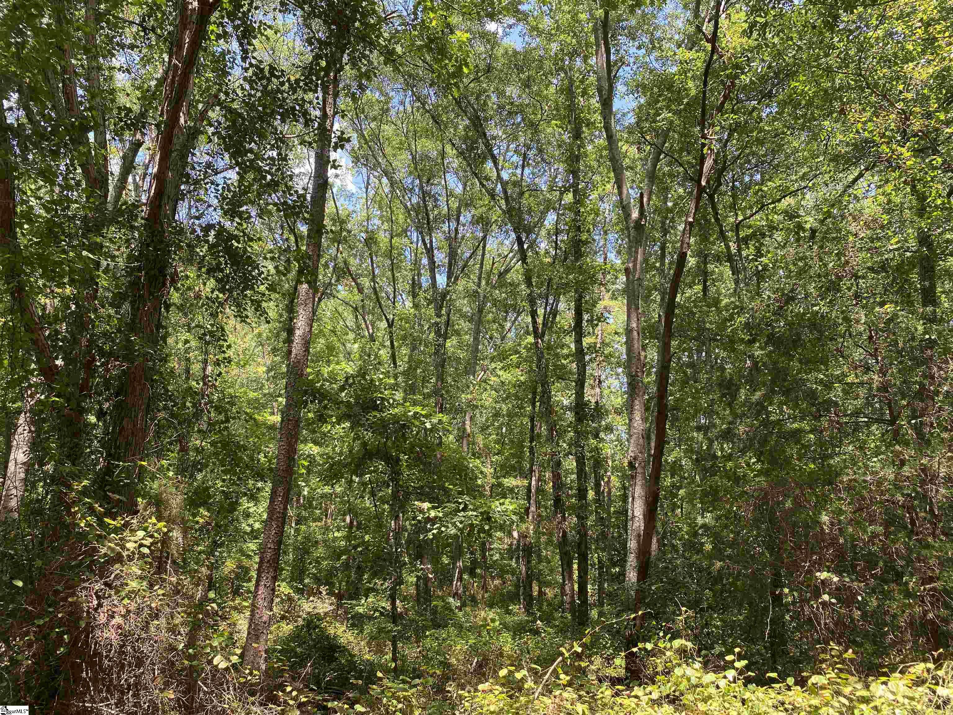00 Snow Road Pelzer, SC 29669