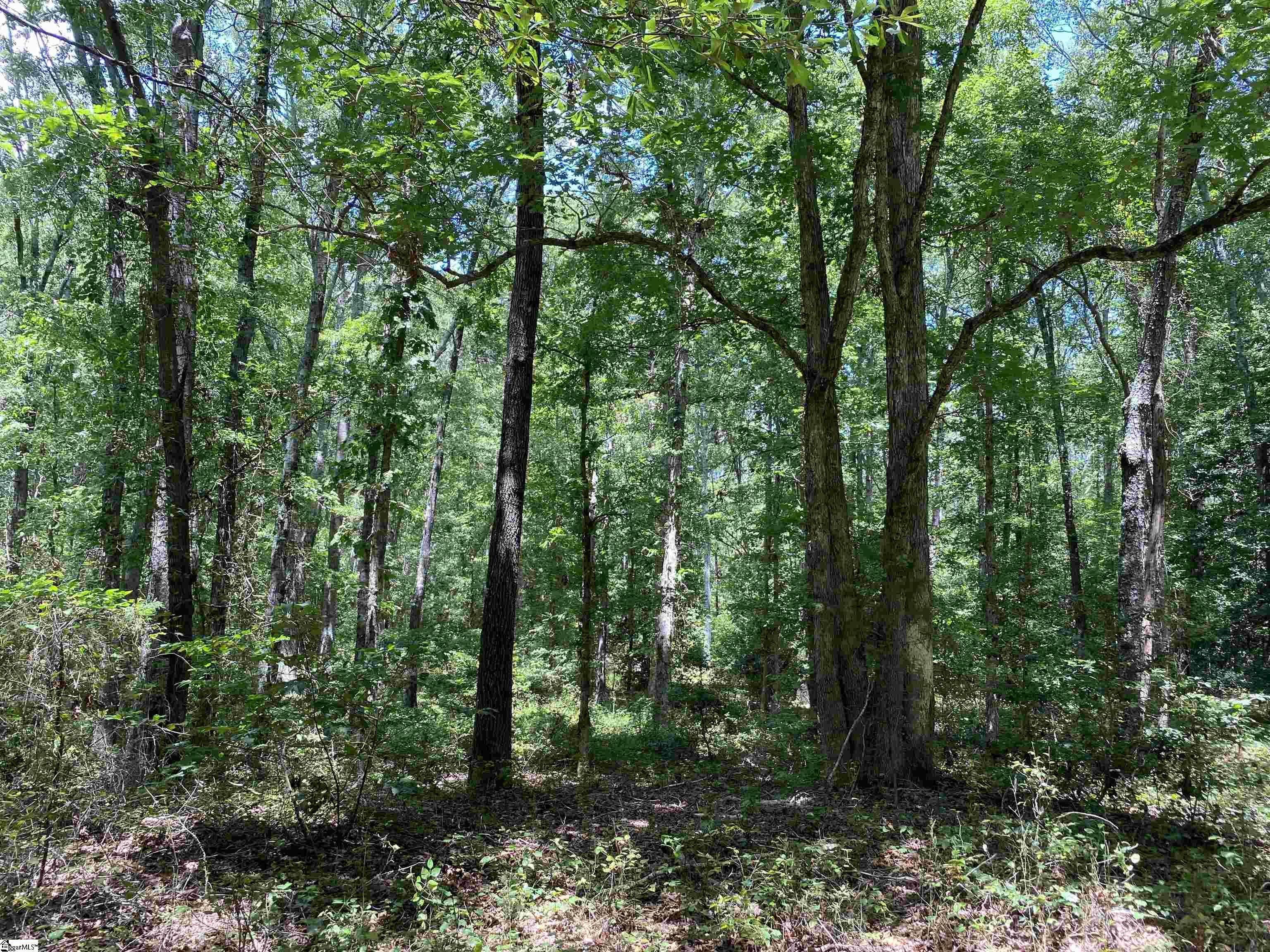 00 Snow Road Pelzer, SC 29669