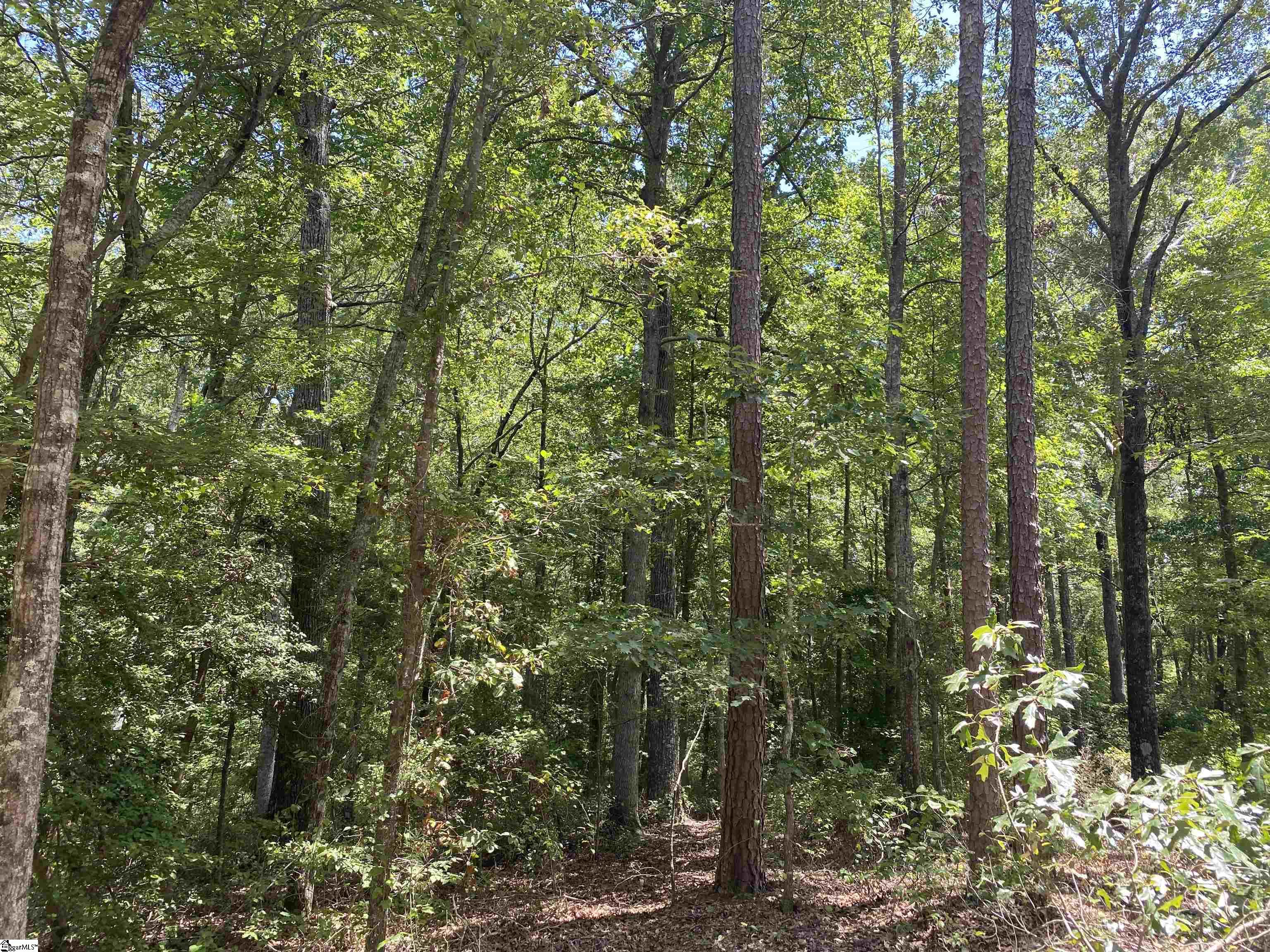 00 Snow Road Pelzer, SC 29669