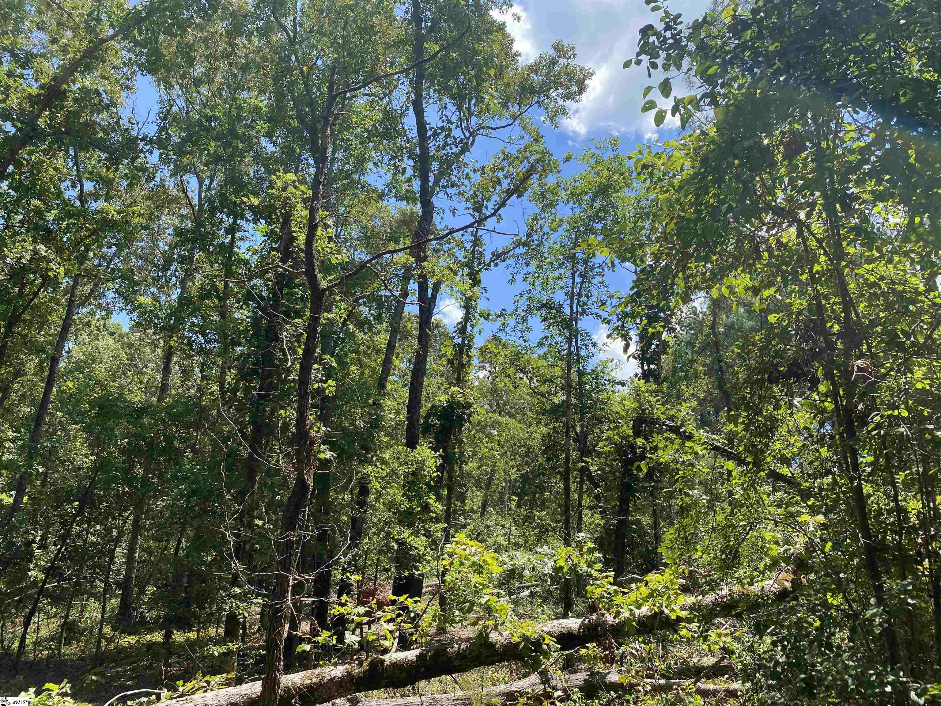 00 Snow Road Pelzer, SC 29669