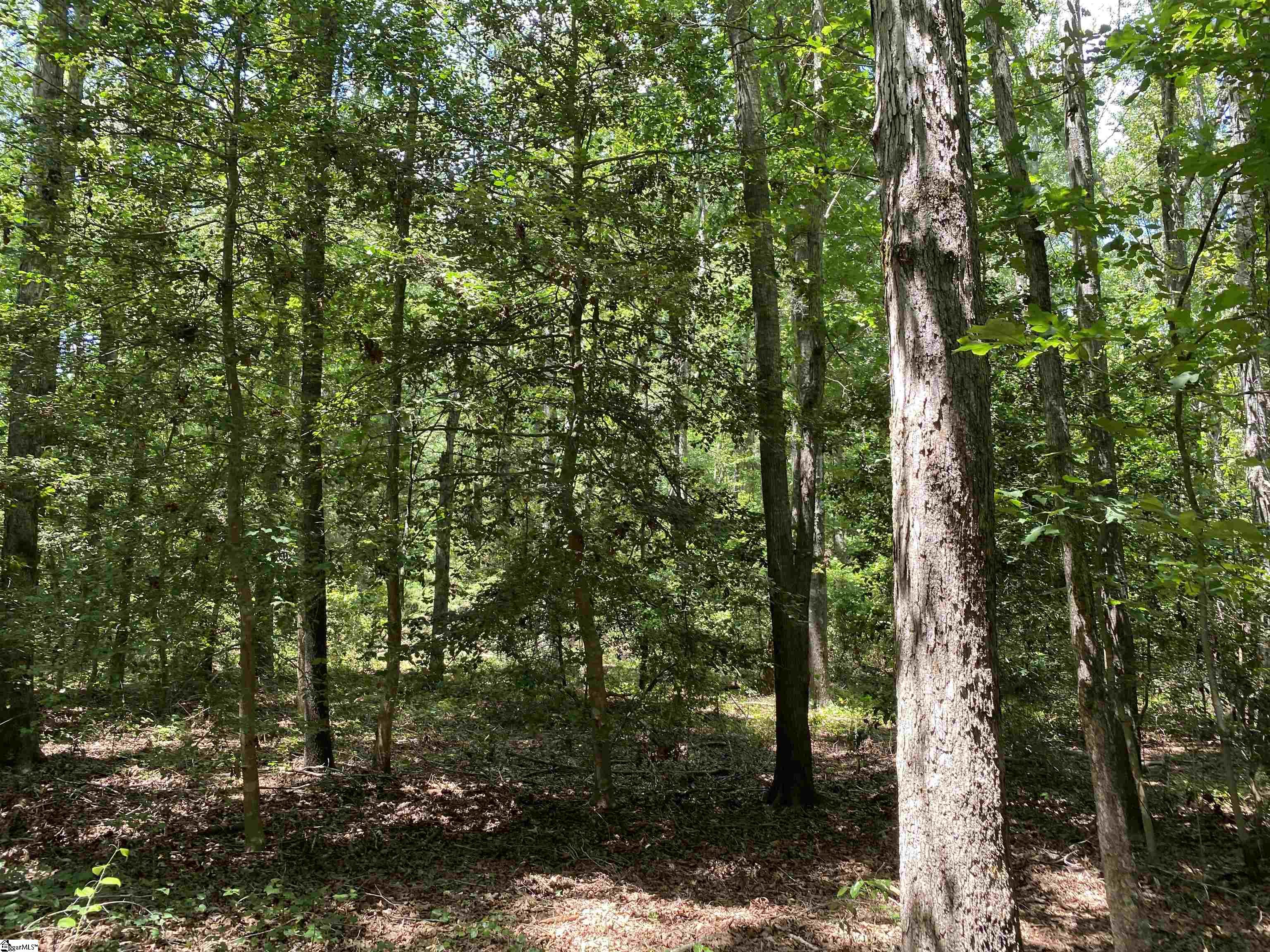 00 Snow Road Pelzer, SC 29669