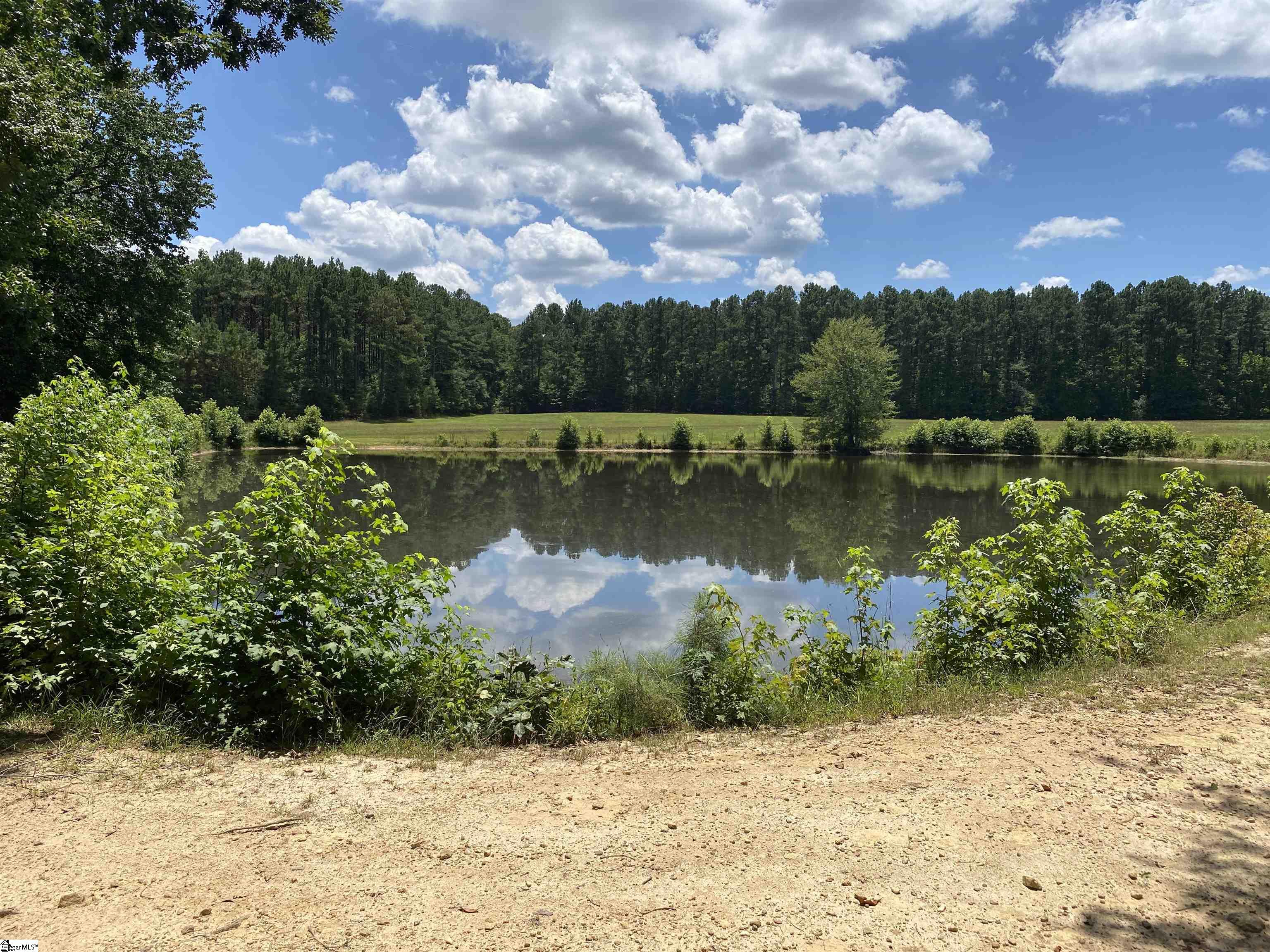 00 Snow Road Pelzer, SC 29669