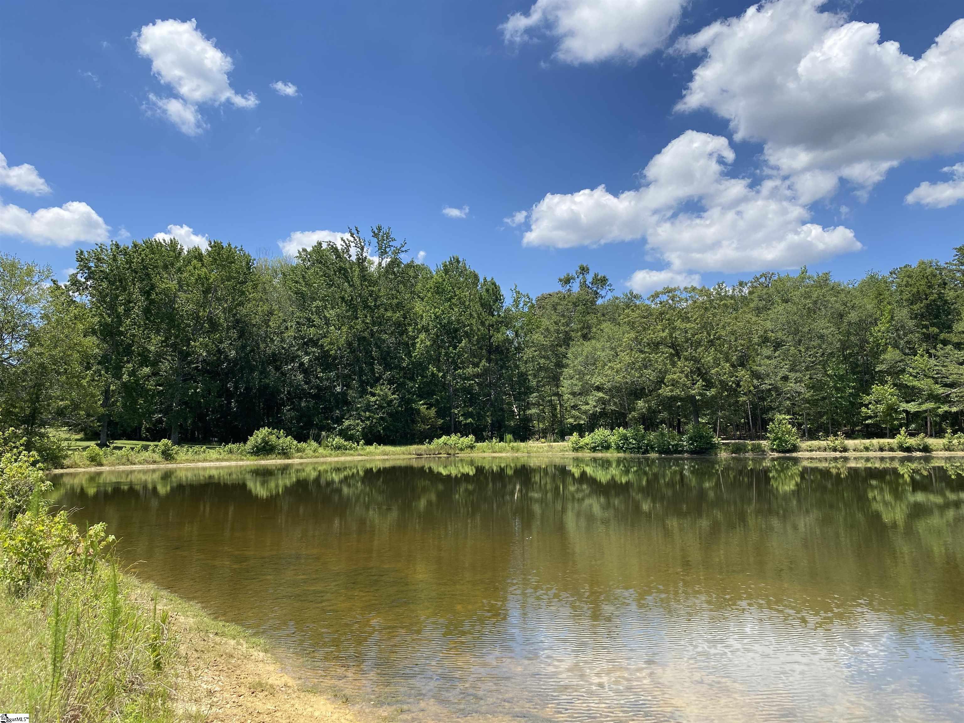 00 Snow Road Pelzer, SC 29669