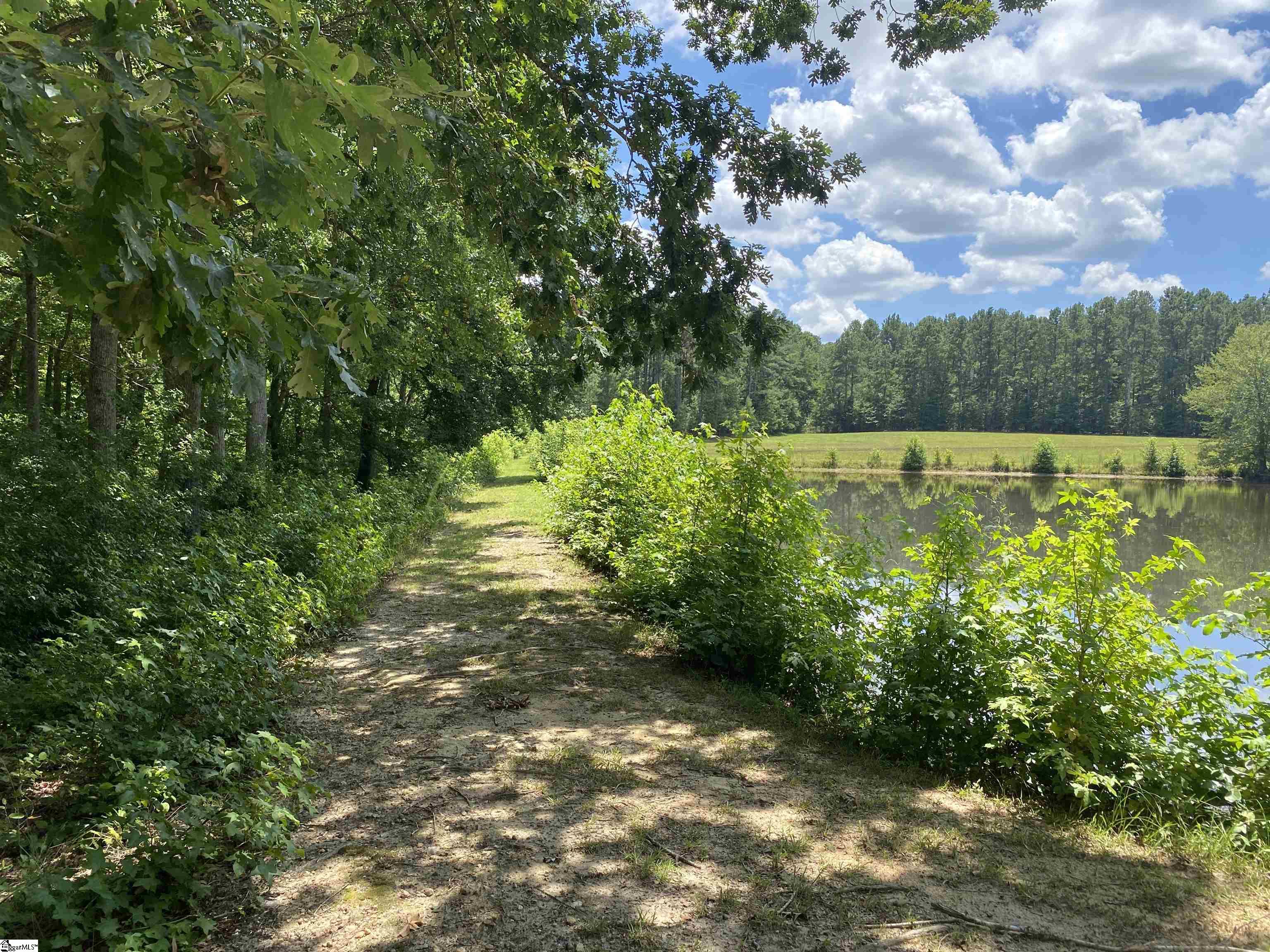 00 Snow Road Pelzer, SC 29669
