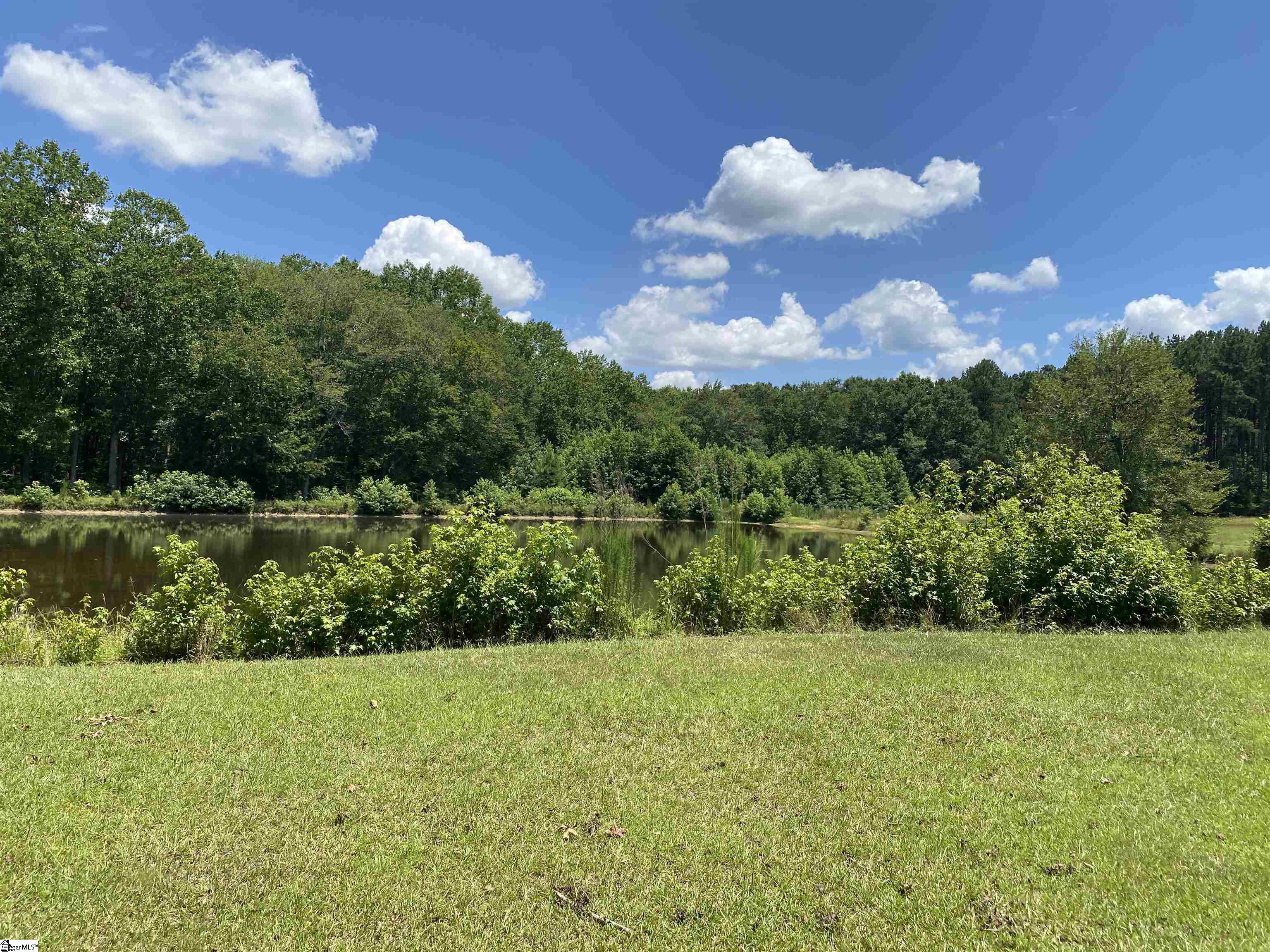 00 Snow Road Pelzer, SC 29669