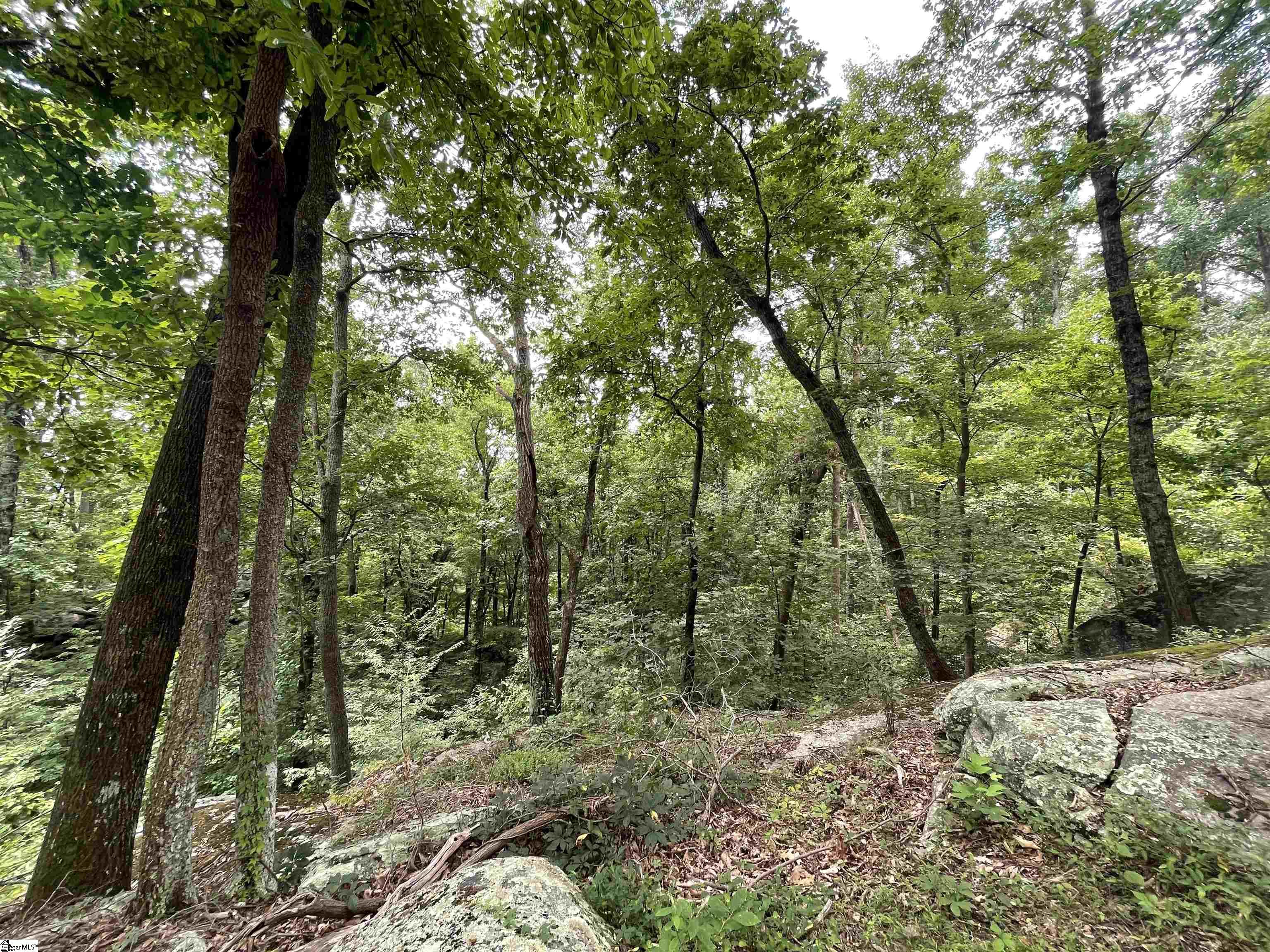 Pine Shadow Lane Landrum, SC 29356