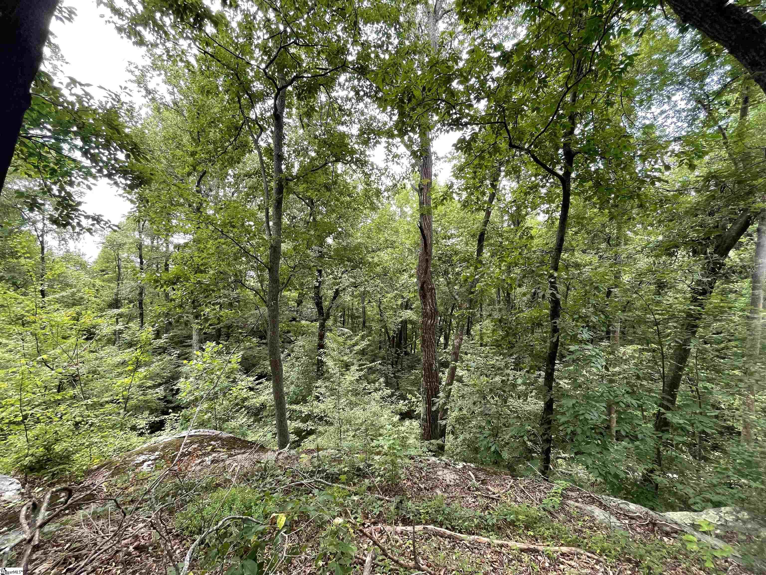 Pine Shadow Lane Landrum, SC 29356