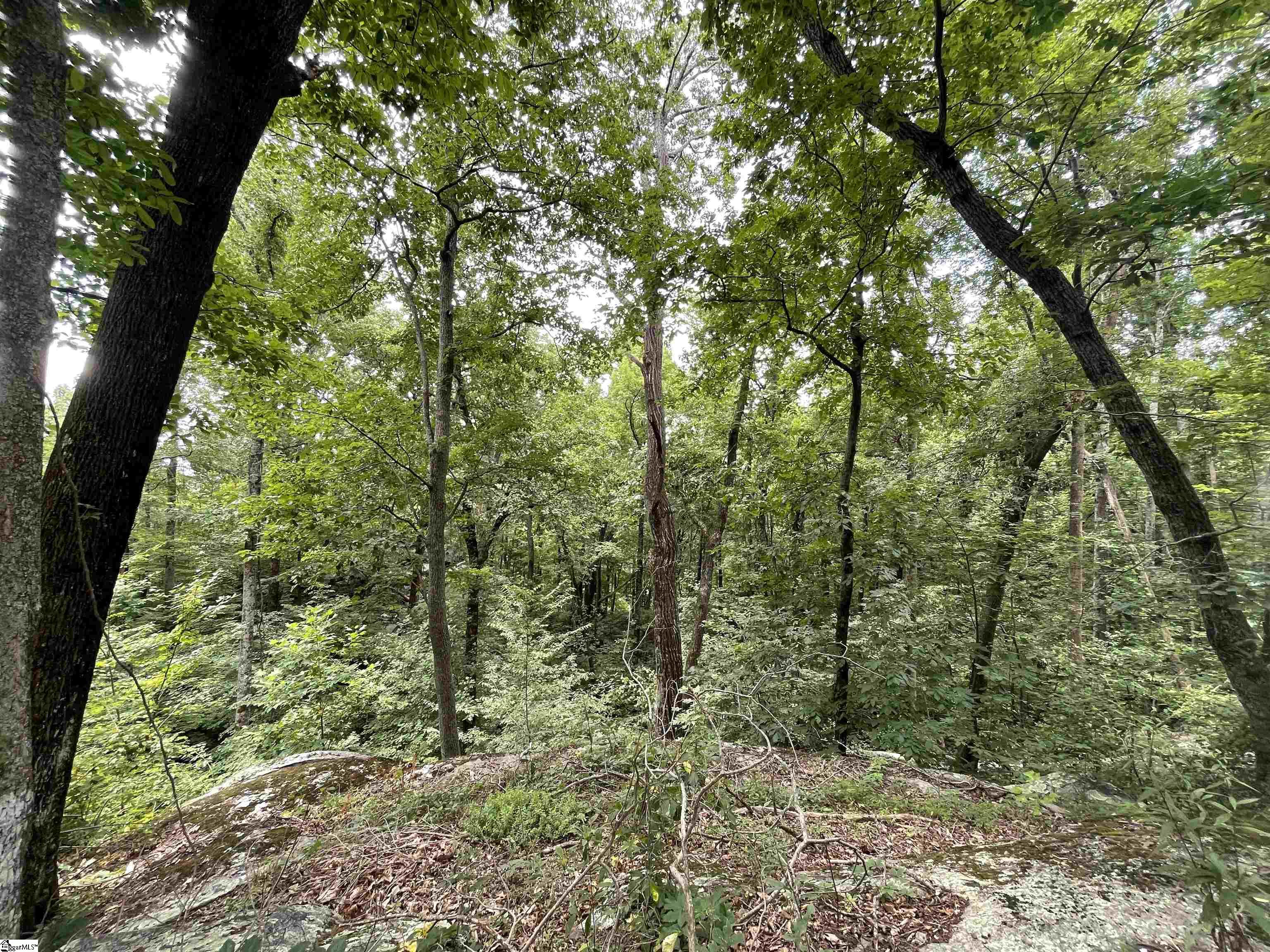 Pine Shadow Lane Landrum, SC 29356