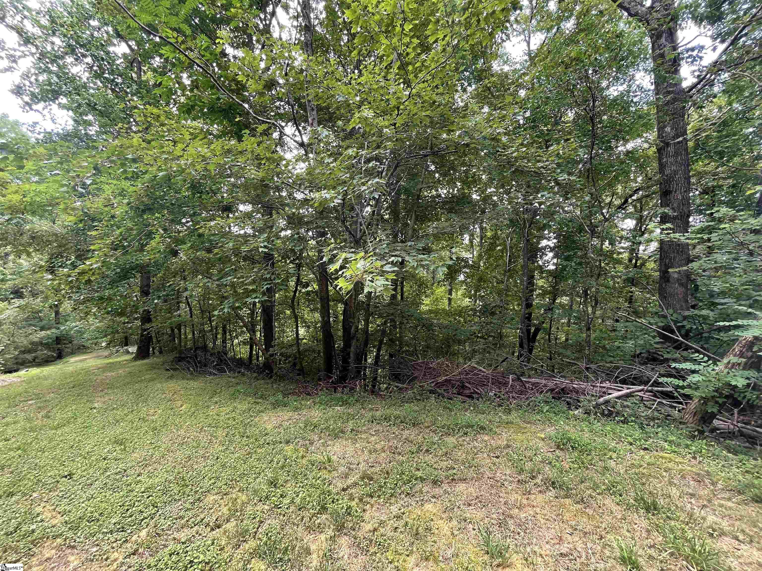 Pine Shadow Lane Landrum, SC 29356