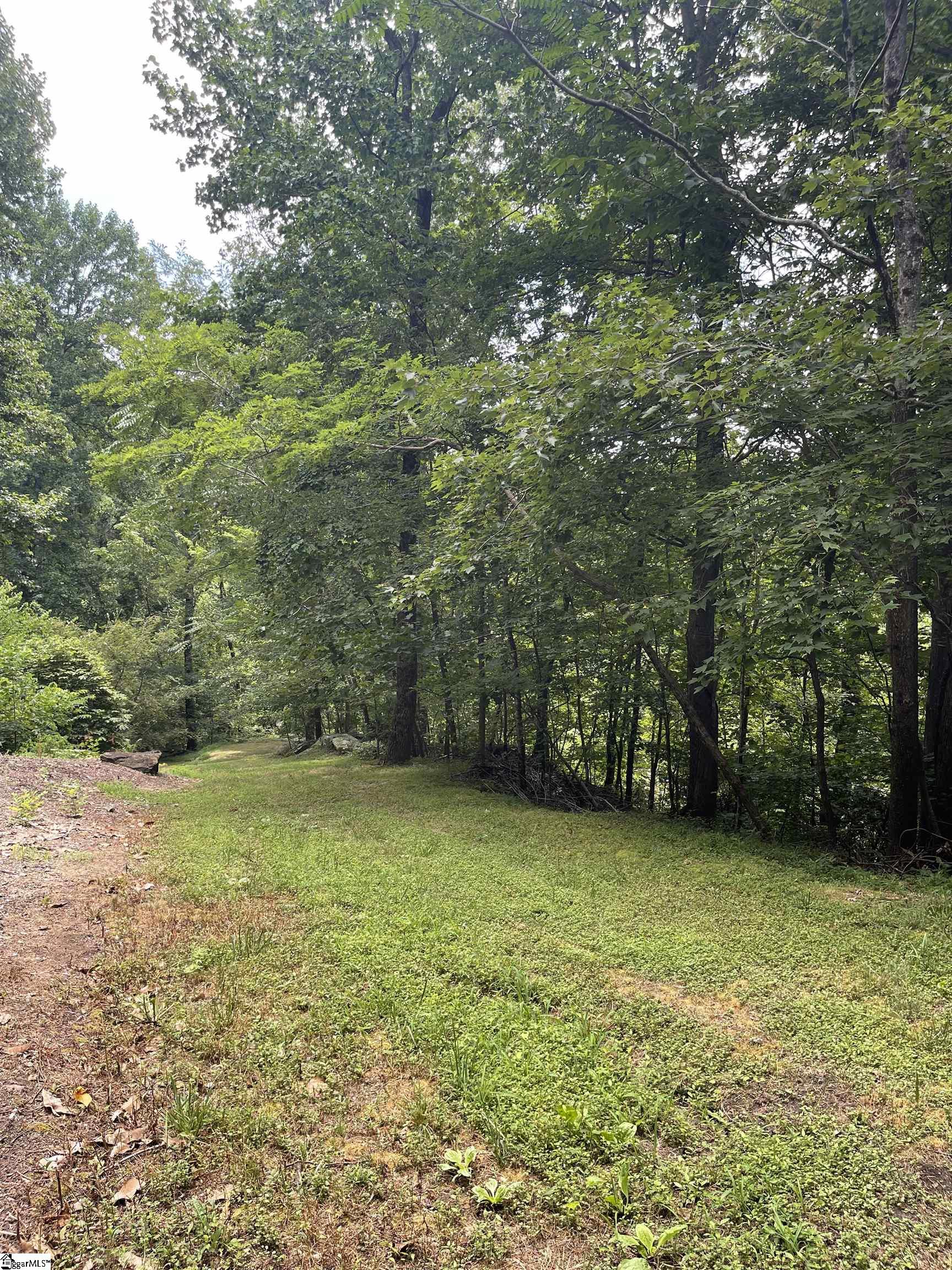 Pine Shadow Lane Landrum, SC 29356
