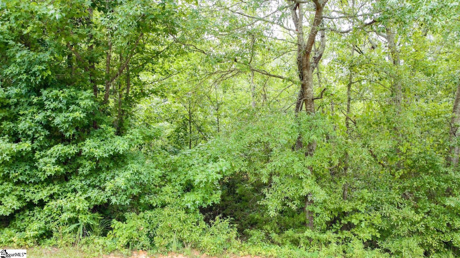 00 Country Glen Lane Pelzer, SC 29669