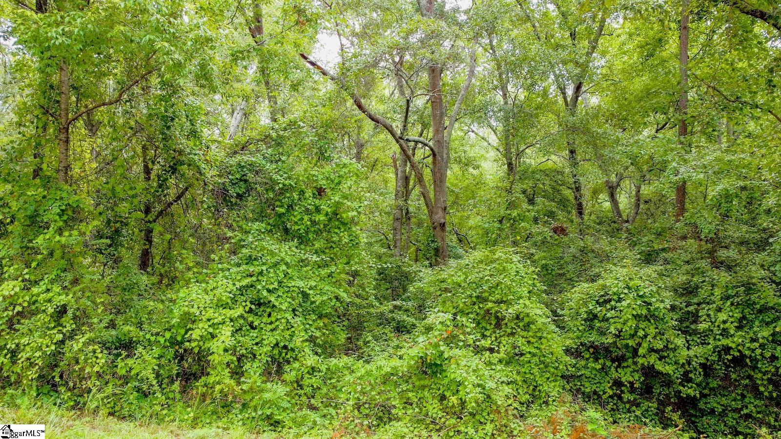 00 Country Glen Lane Pelzer, SC 29669