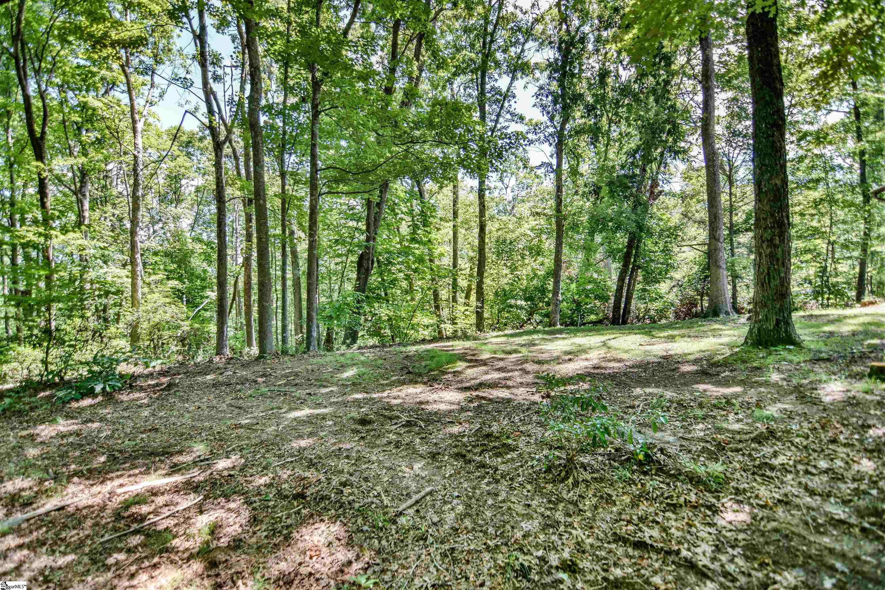 8 Cliff Ridge Court Cleveland, SC 29635
