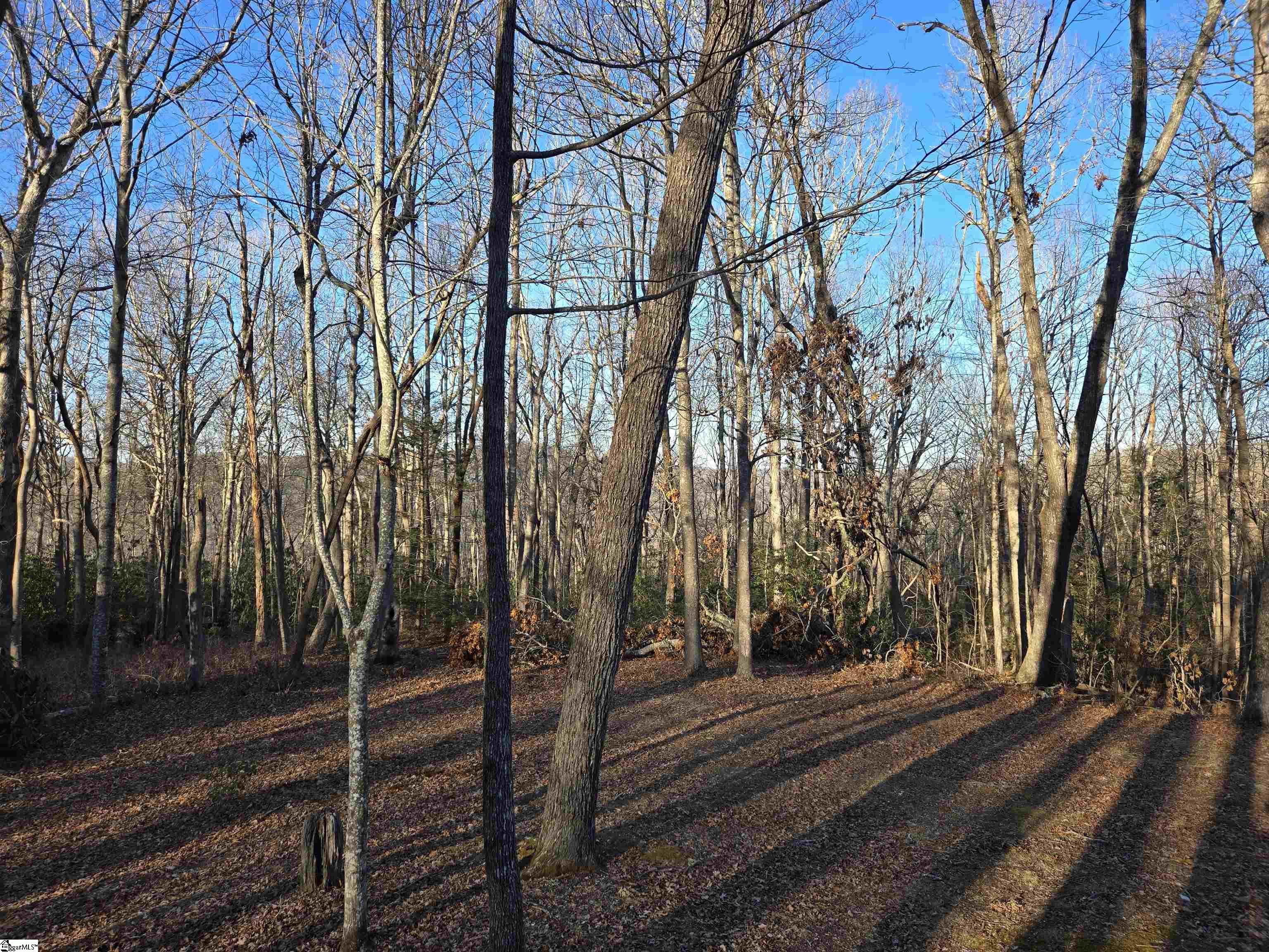 8 Cliff Ridge Court Cleveland, SC 29635
