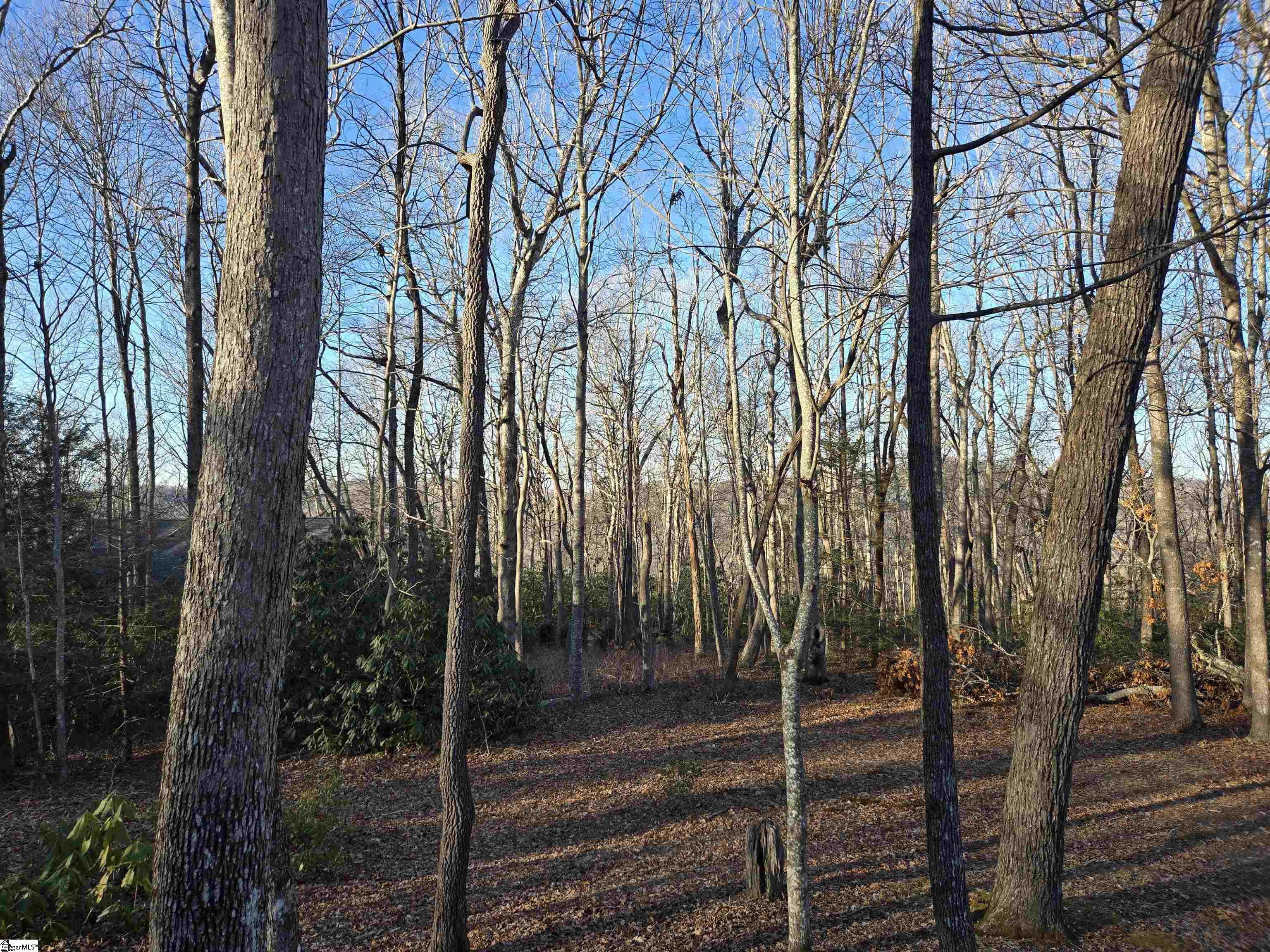 8 Cliff Ridge Court Cleveland, SC 29635