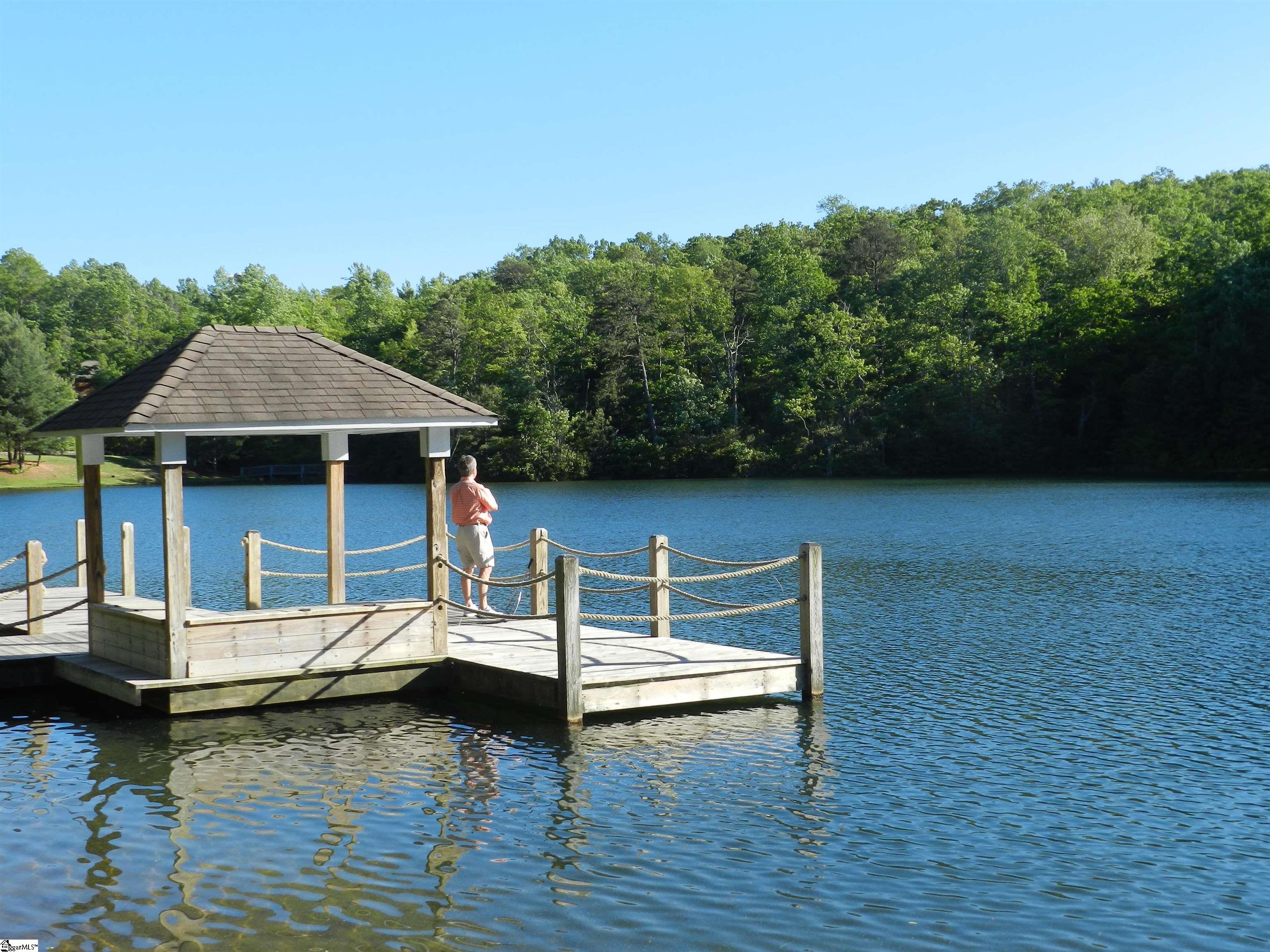 8 Cliff Ridge Court Cleveland, SC 29635