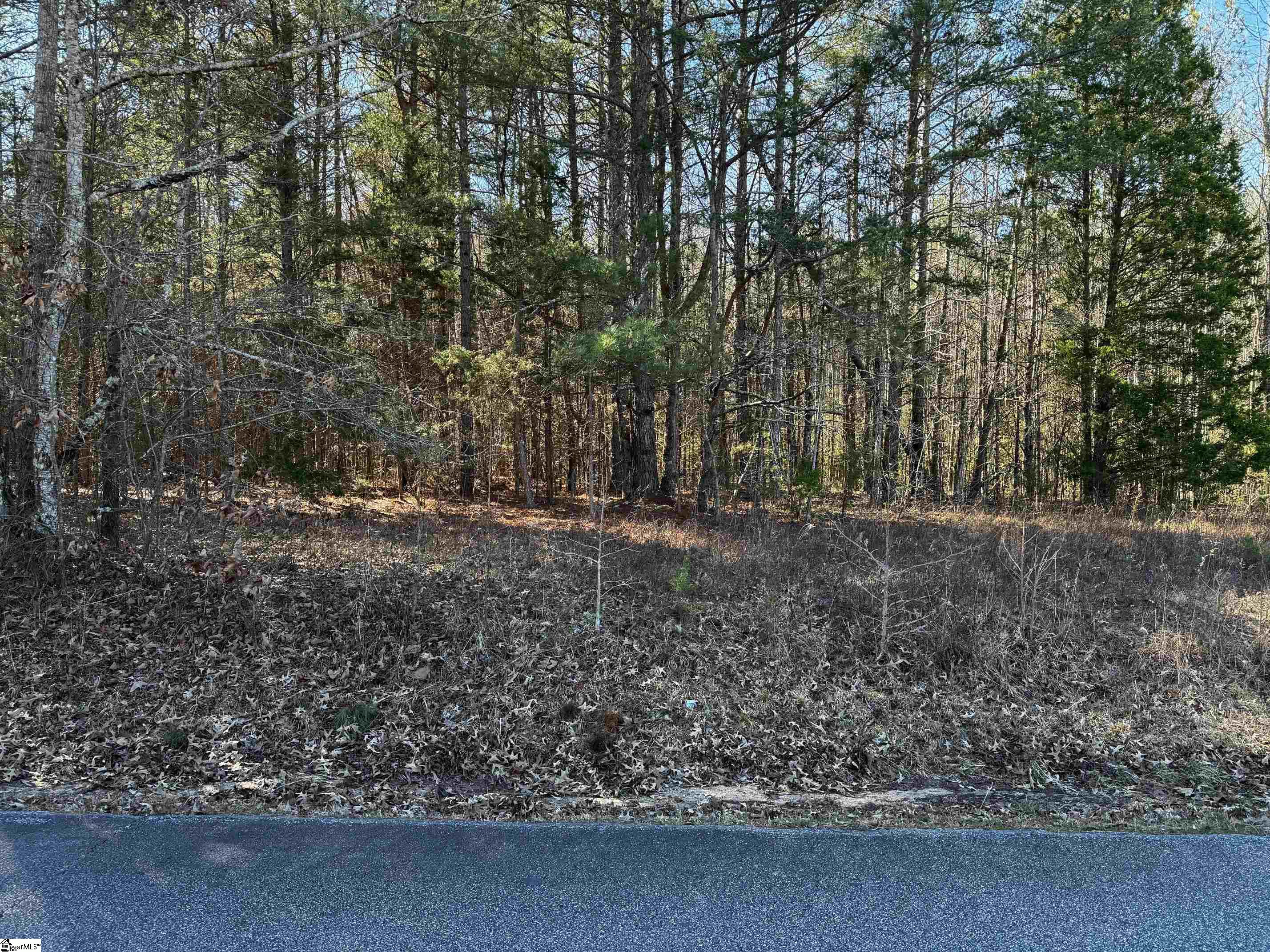 00 Corner Road Belton, SC 29627