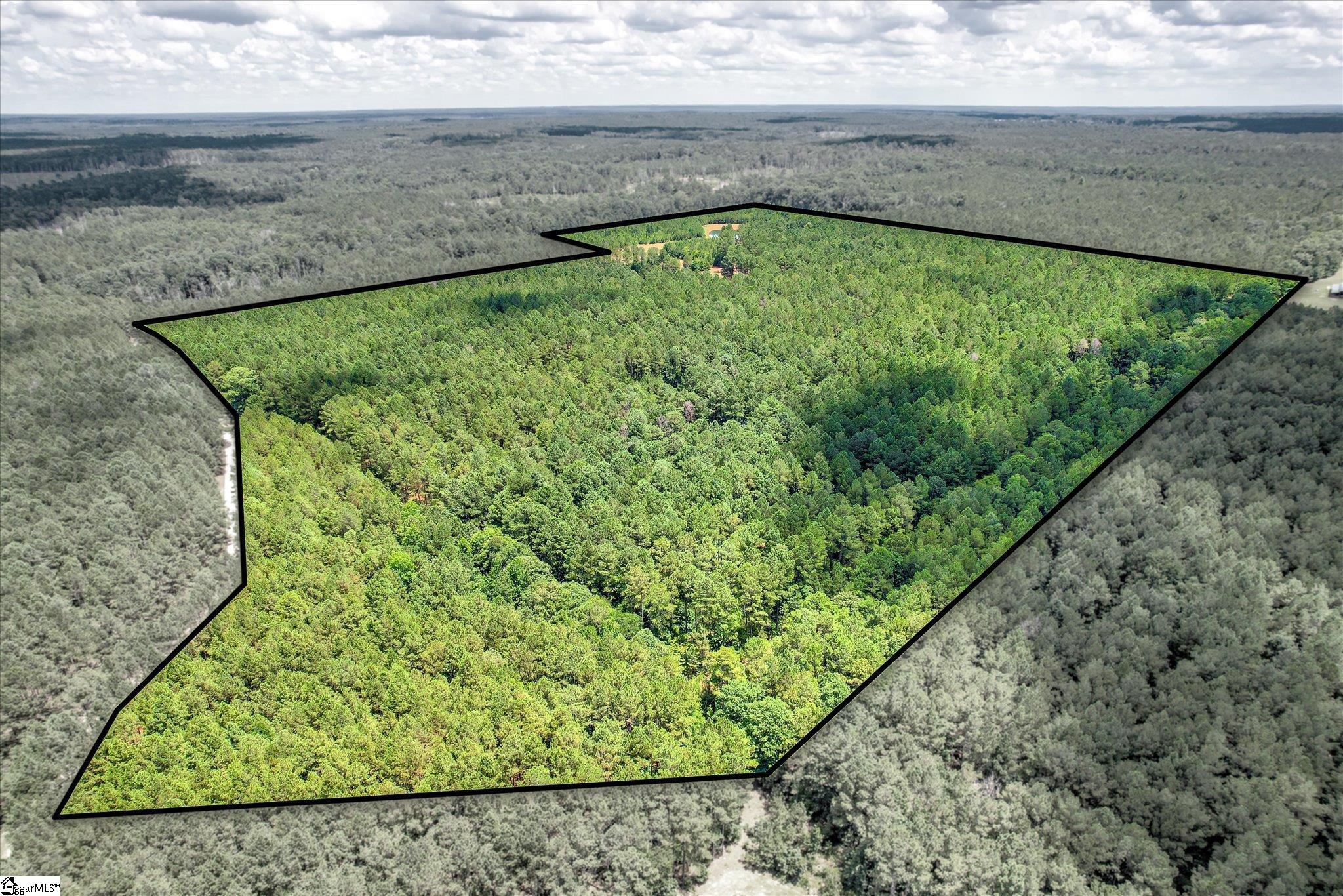 395 New Cut Road Edgefield, SC 29824