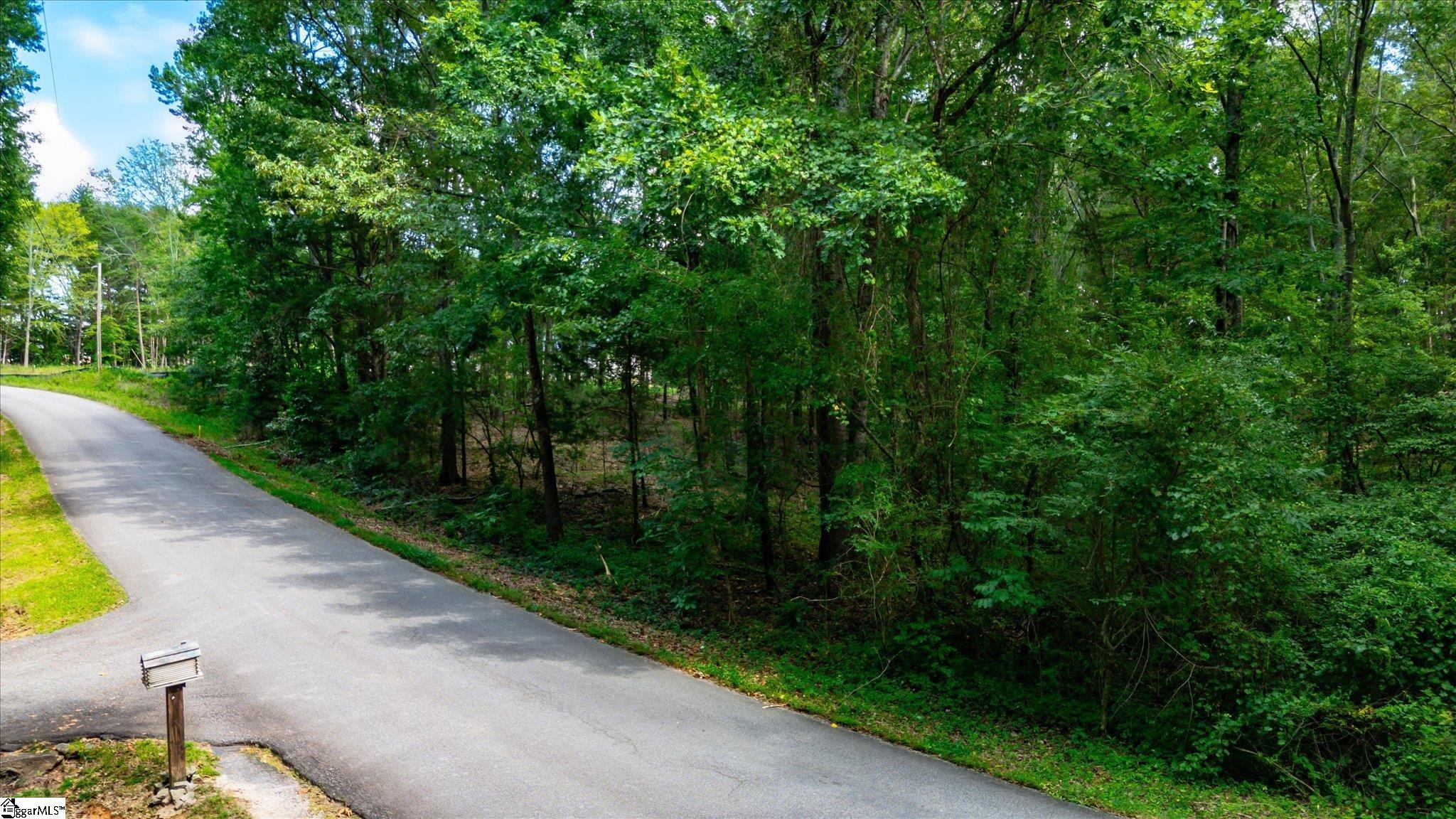 Lot 3 Pale Moon Court Pelzer, SC 29669