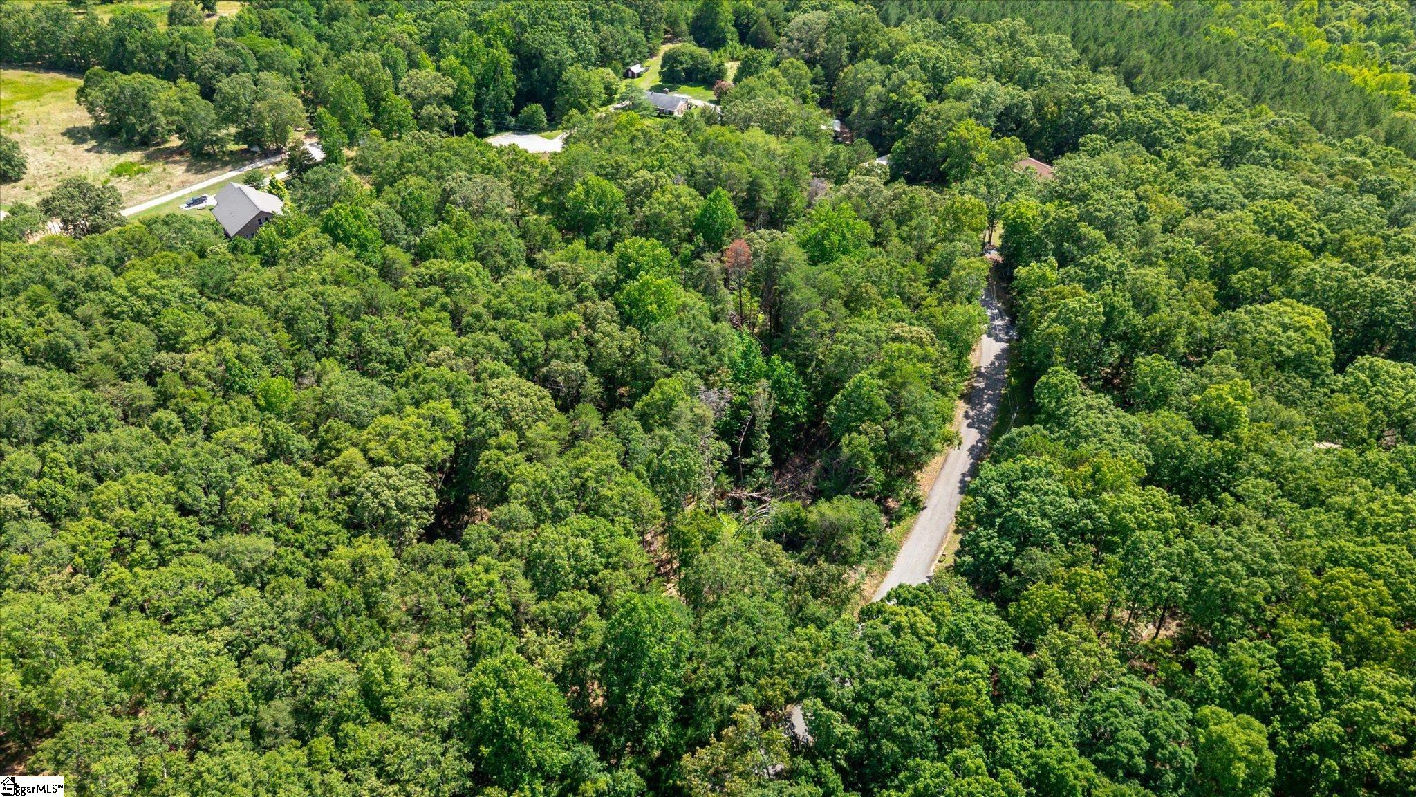 Lot 3 Pale Moon Court Pelzer, SC 29669