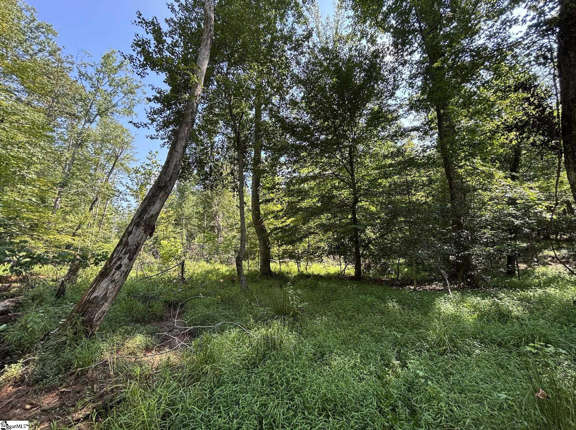 00 E Fairmont Avenue Spartanburg, SC 29334
