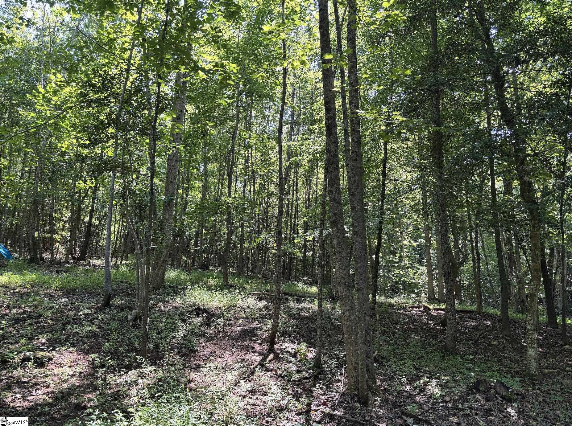 00 E Fairmont Avenue Spartanburg, SC 29334