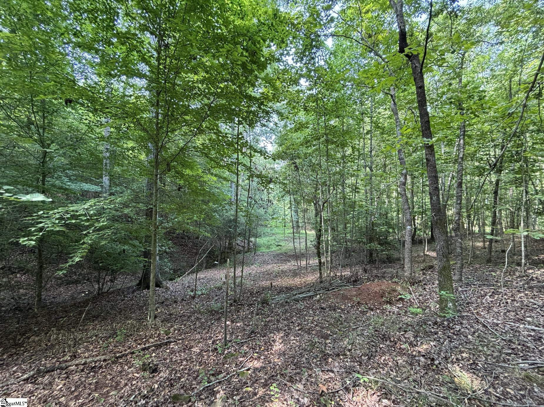 00 E Fairmont Avenue Spartanburg, SC 29334