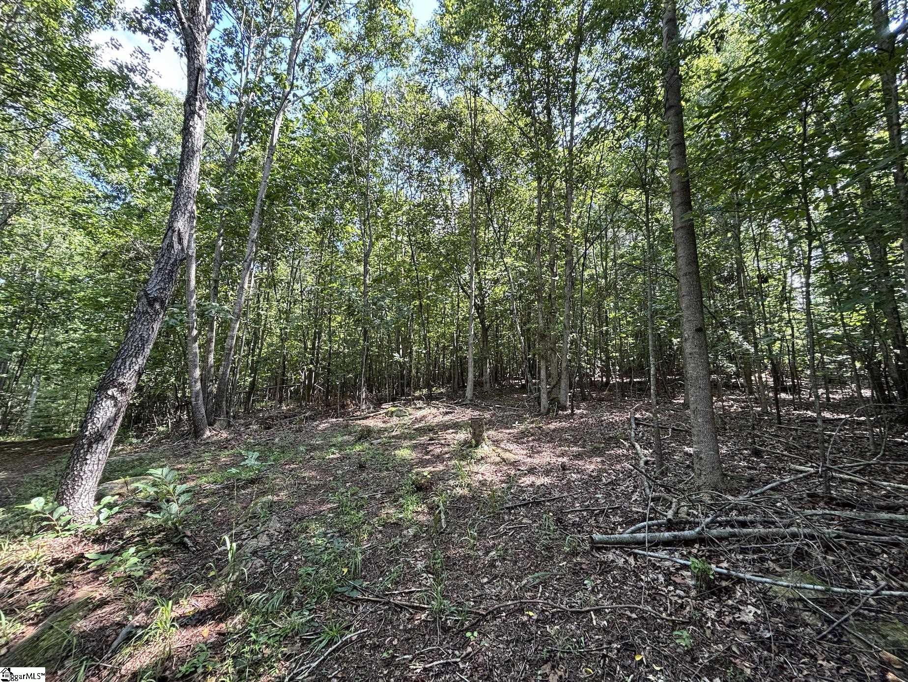 00 E Fairmont Avenue Spartanburg, SC 29334