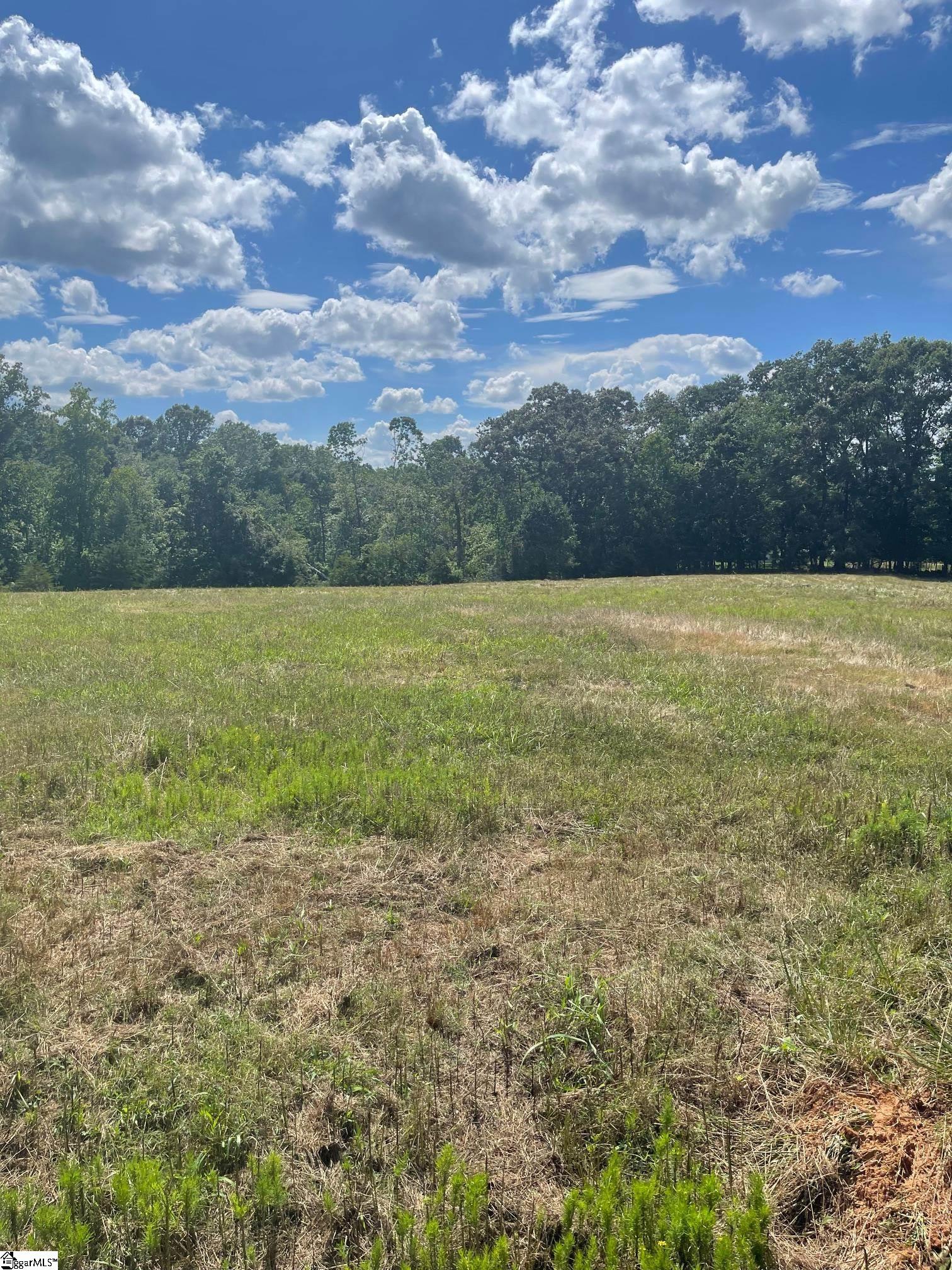 4891 S Main Street Cowpens, SC 29330