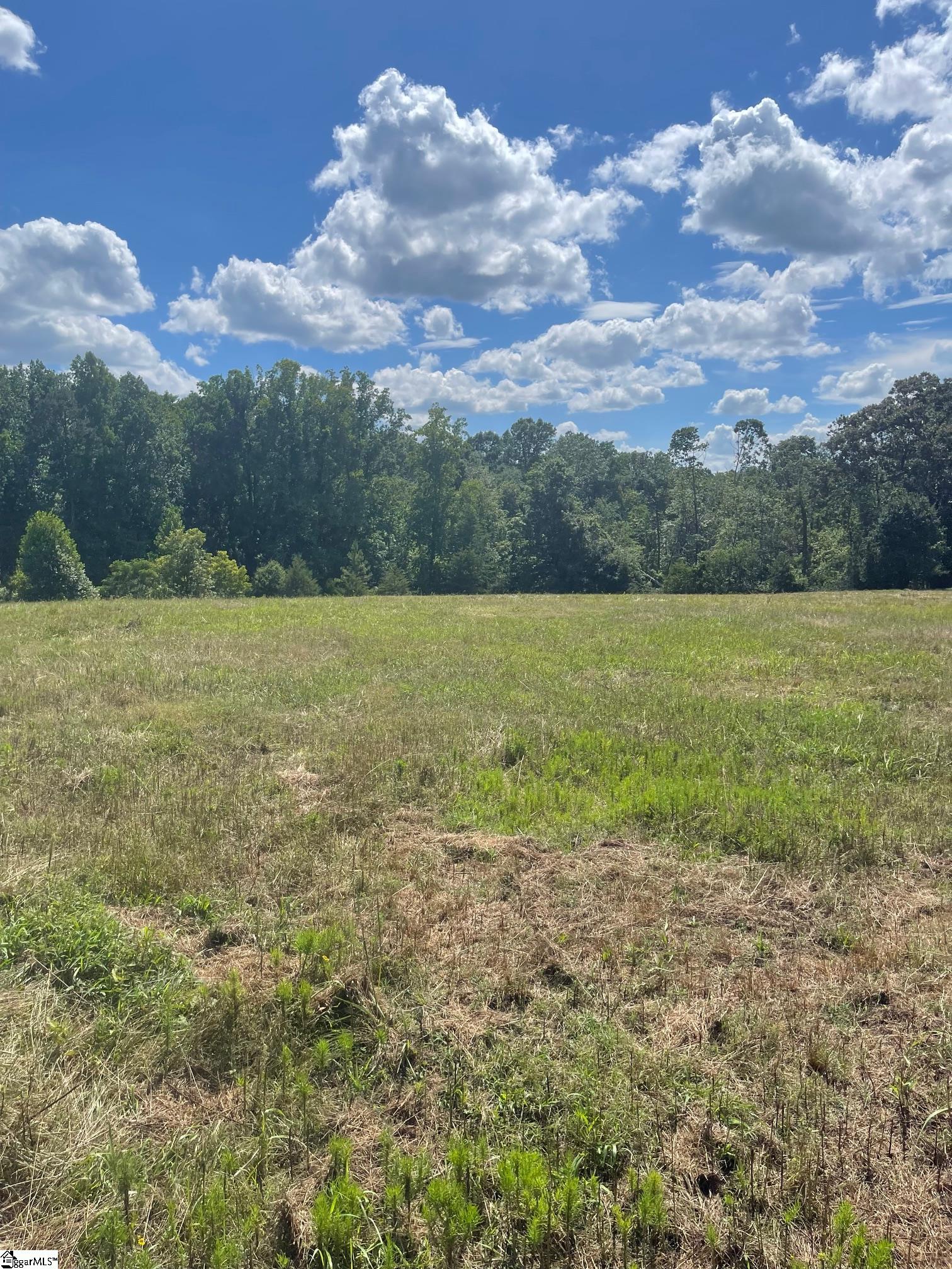 4891 S Main Street Cowpens, SC 29330