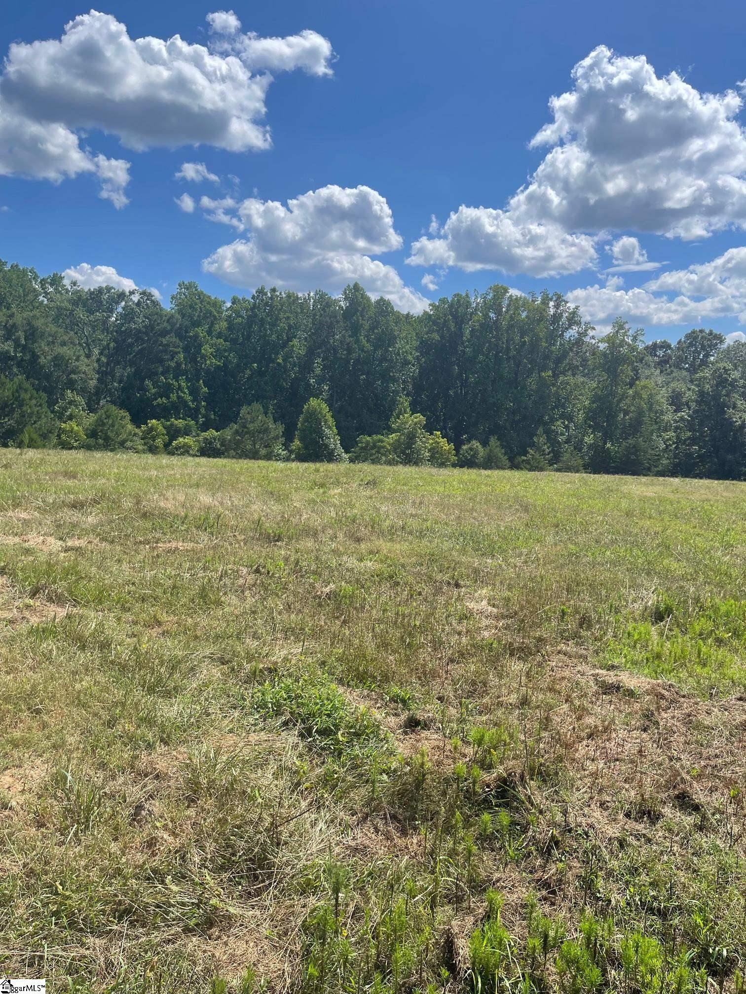 4891 S Main Street Cowpens, SC 29330